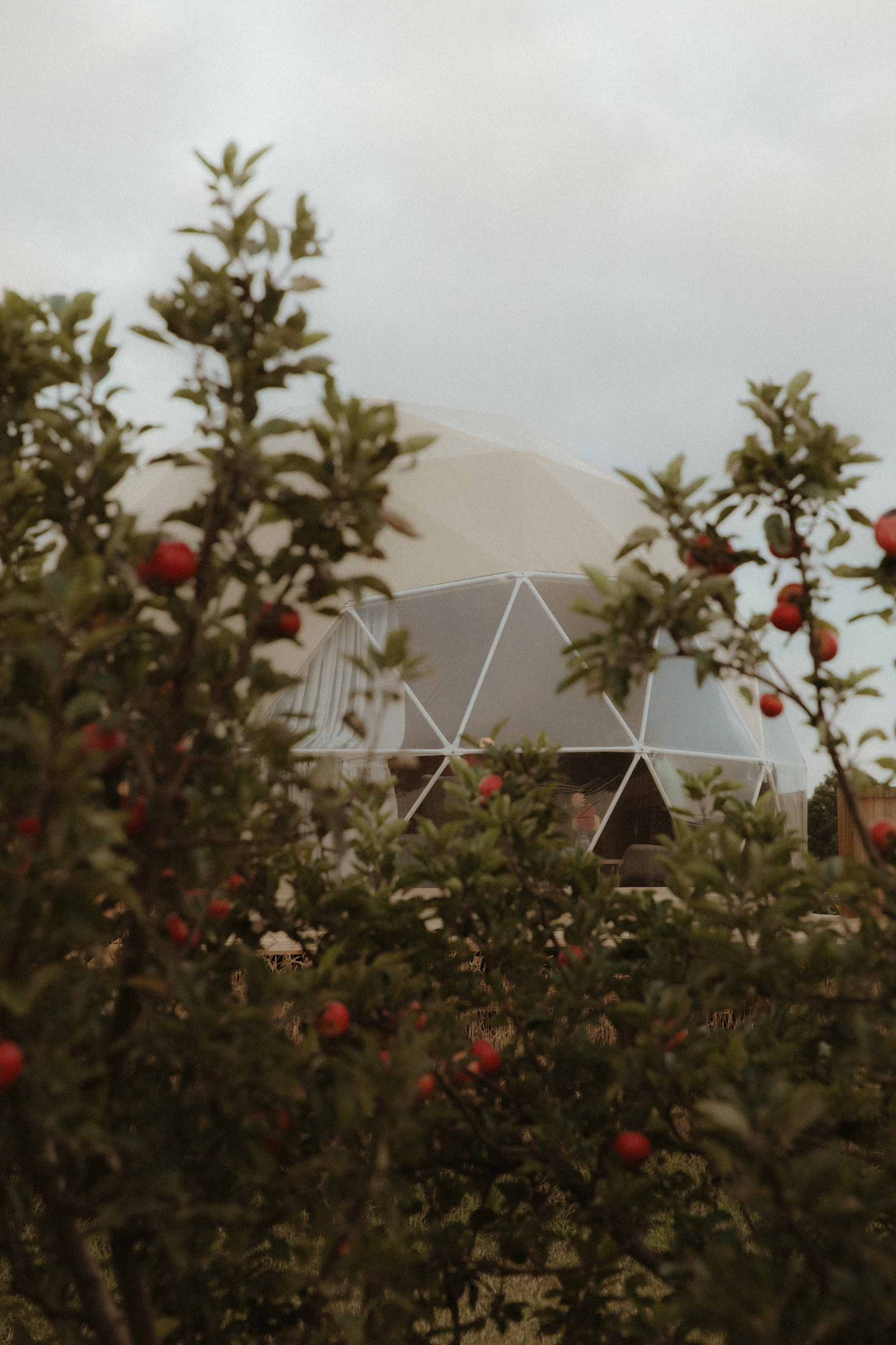 Mount Gnomon Farm