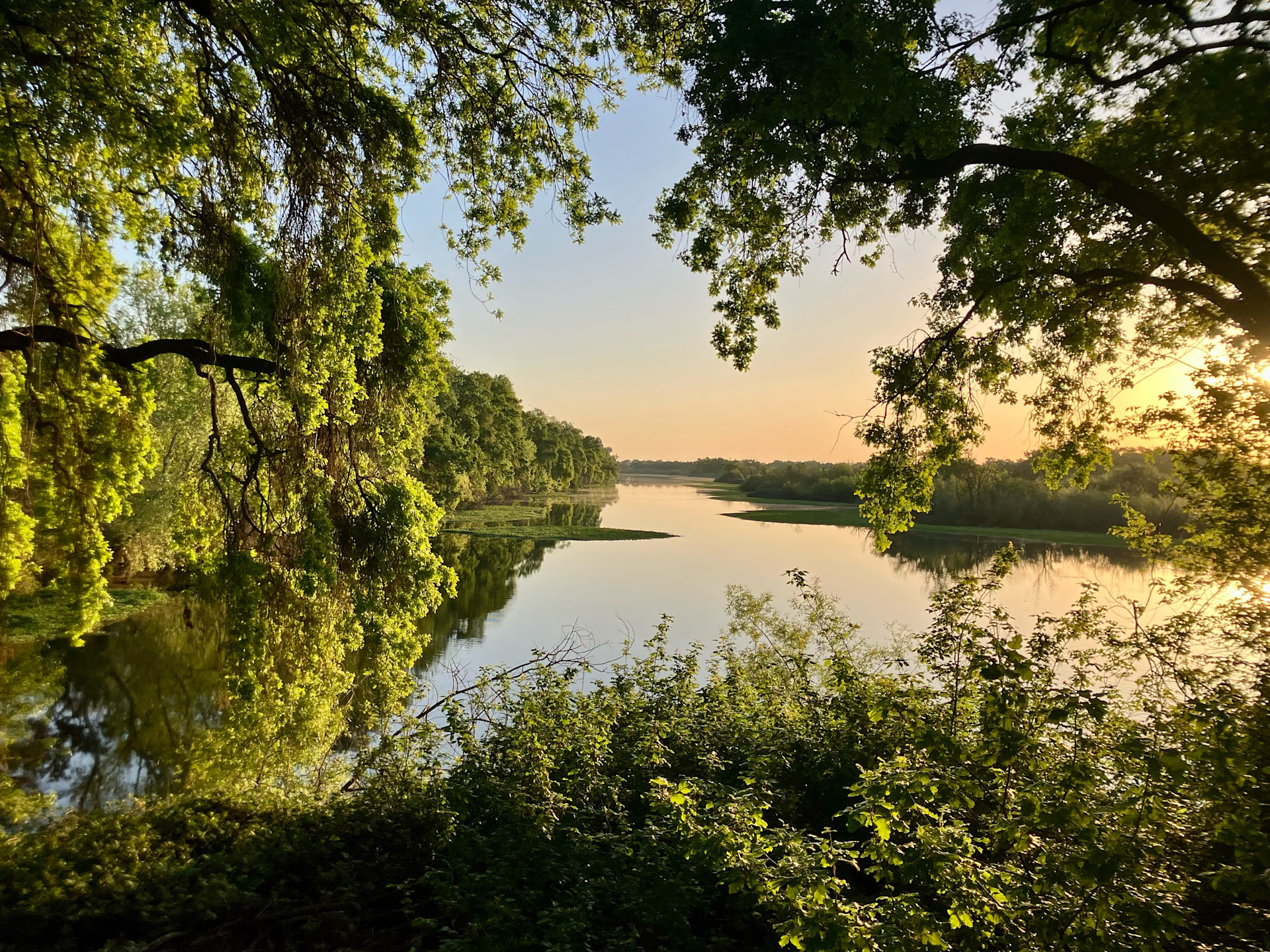 Delta Meadows River Camp