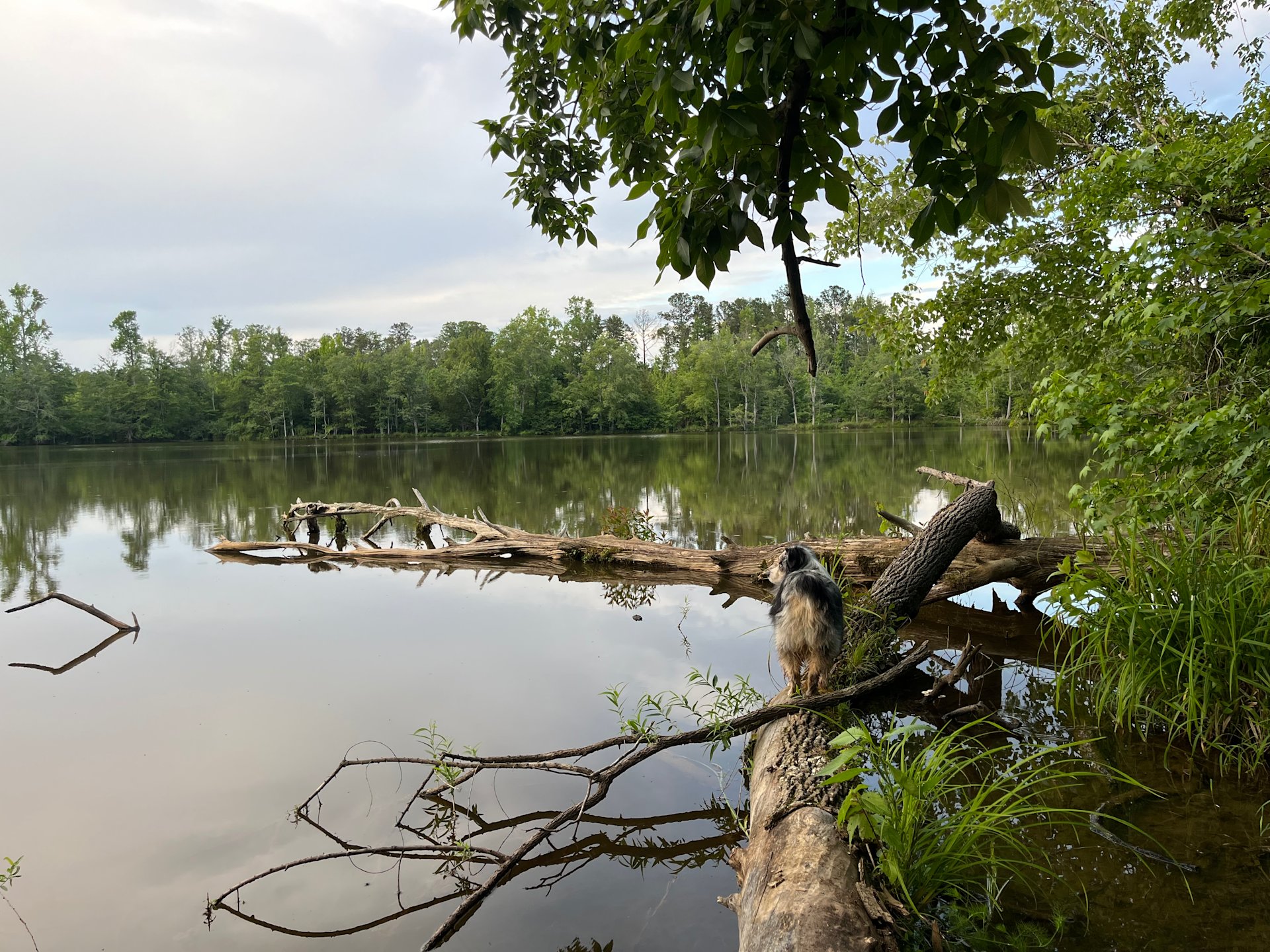 Chippokes Plantation State Park