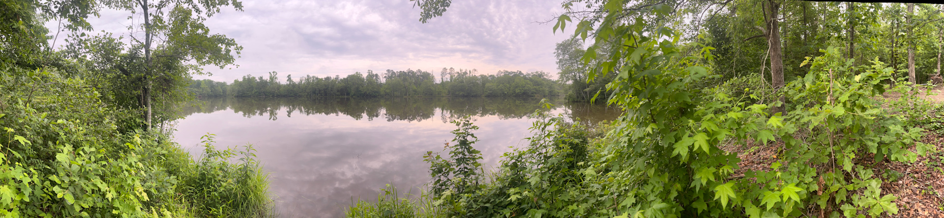 Chippokes Plantation State Park