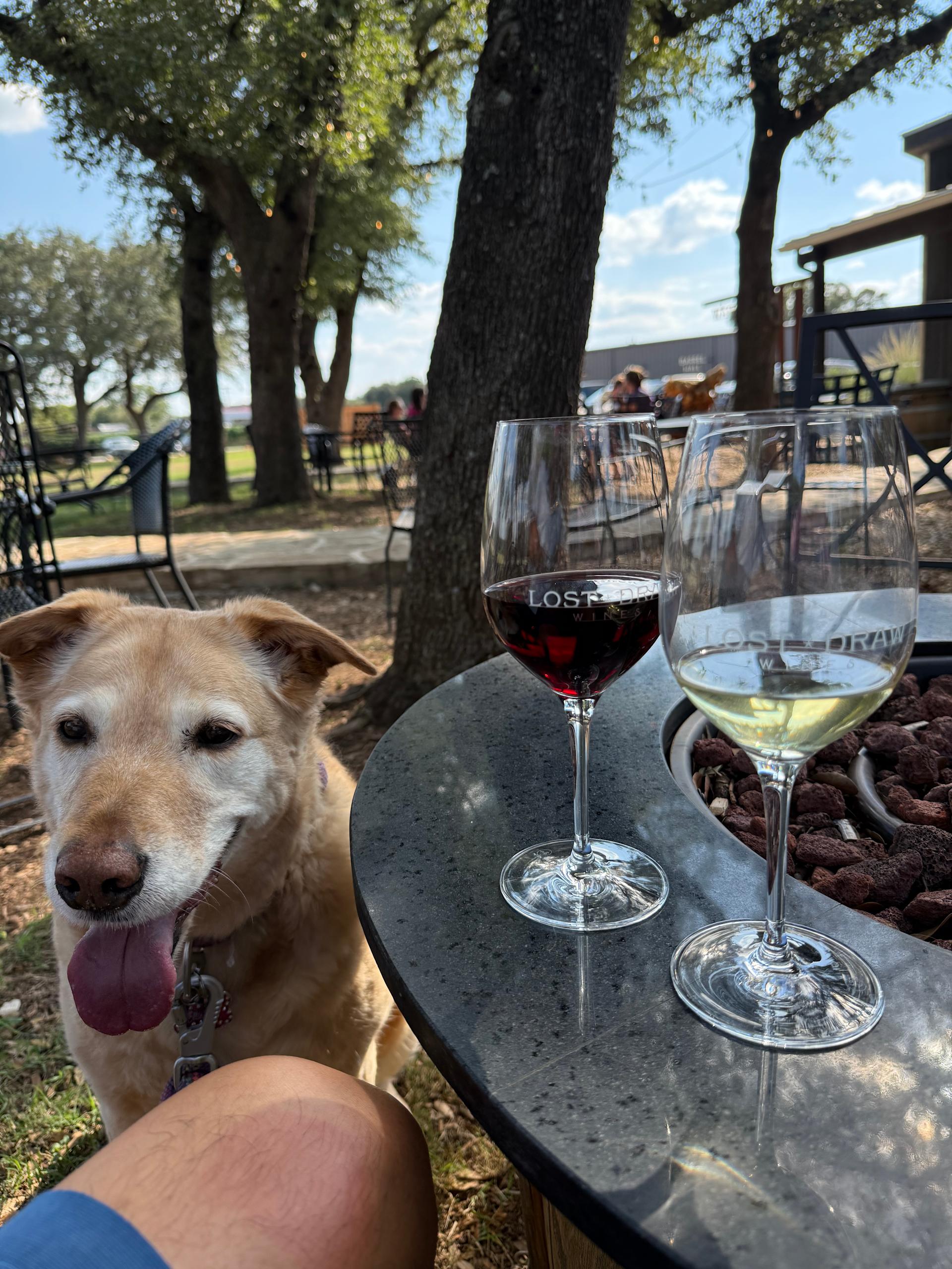 Lost Draw Winery 