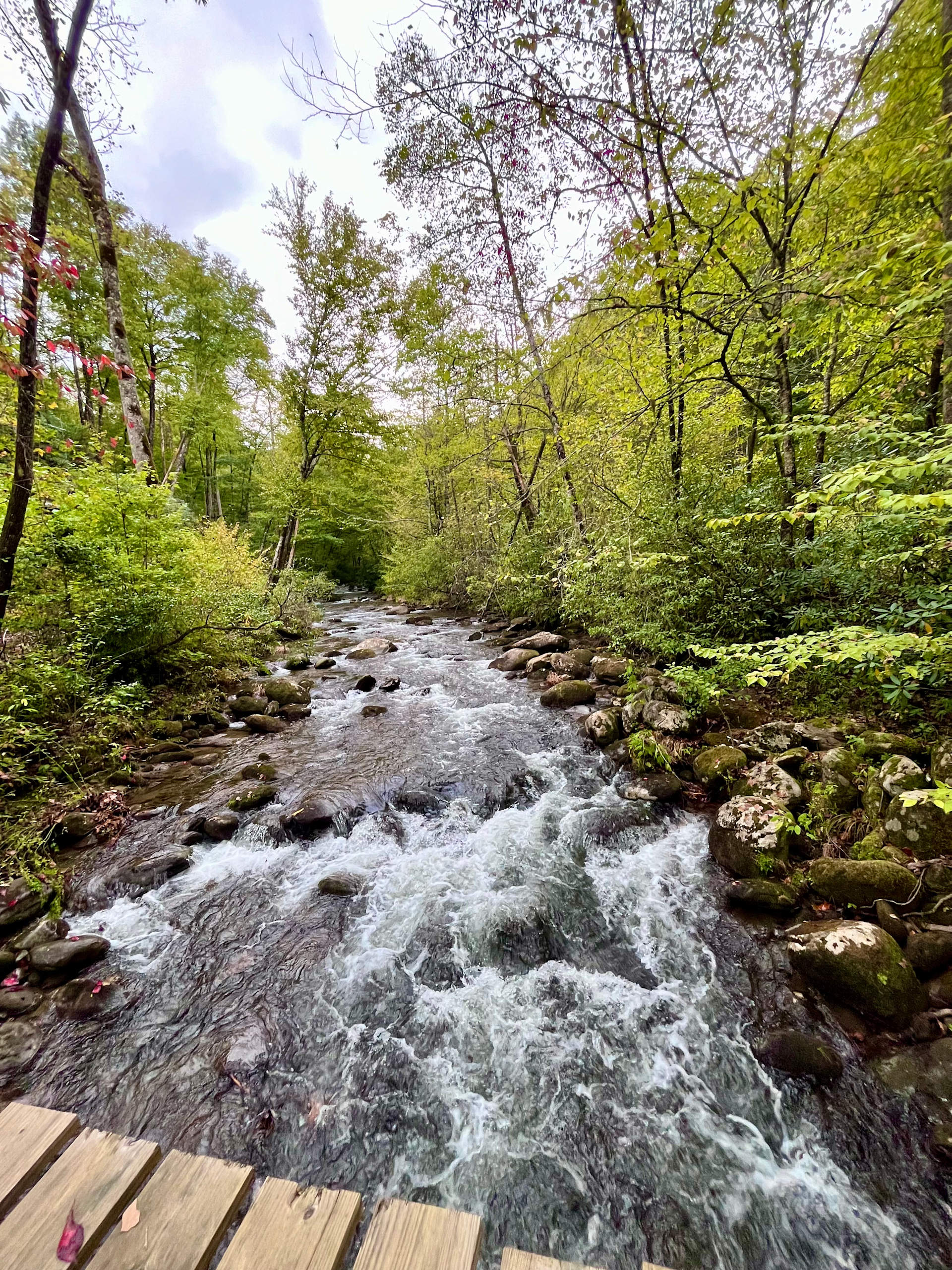 Not too far past The Cove is West Buffalo Creek- perfect for hiking along, trout fishing, and relaxing!