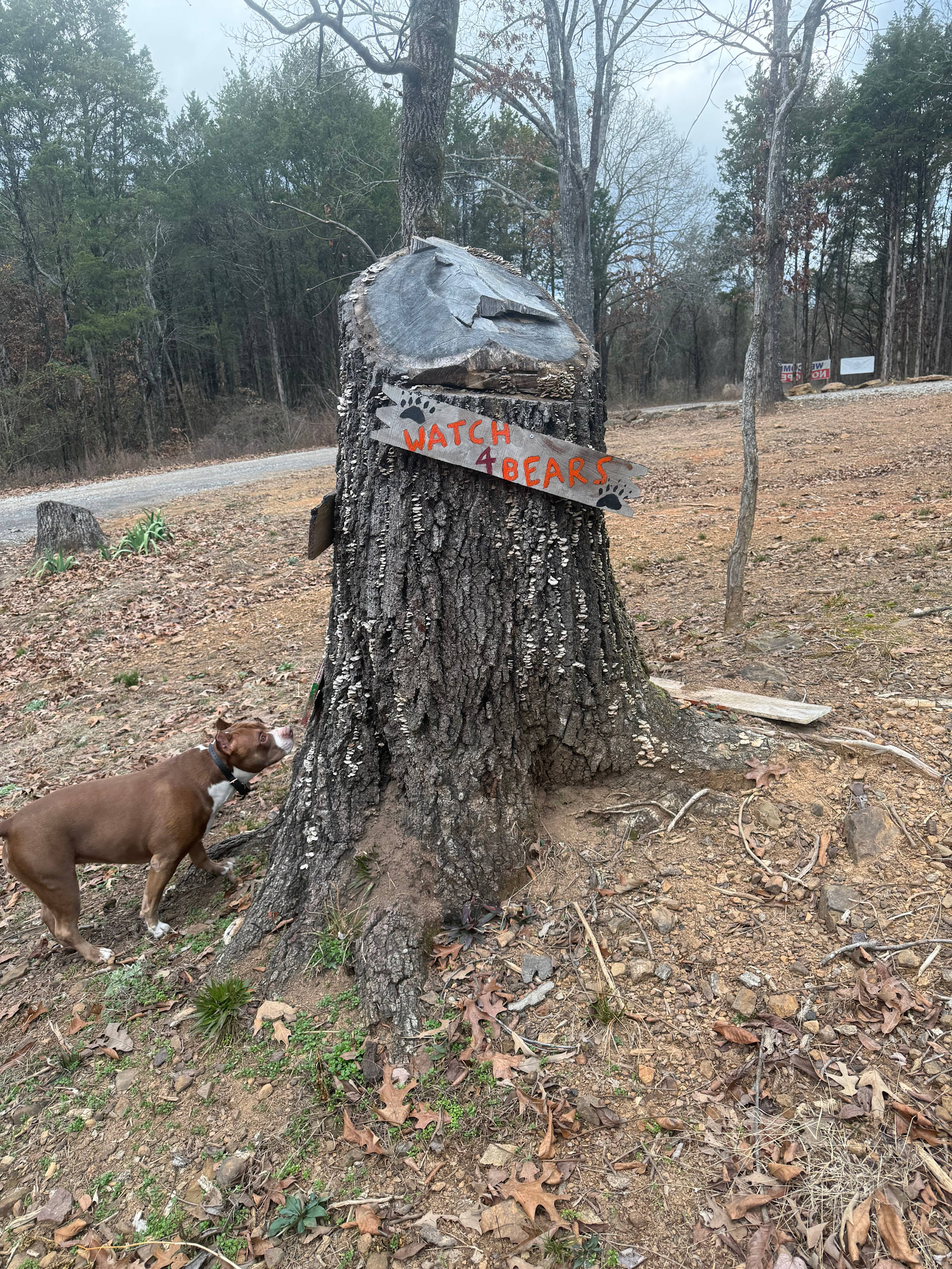 Barker Gap