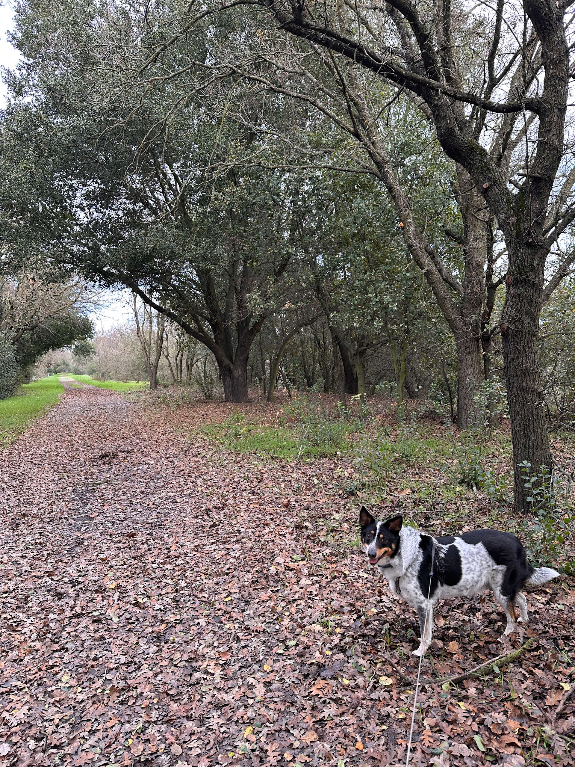 Park next to property with nice long walks!