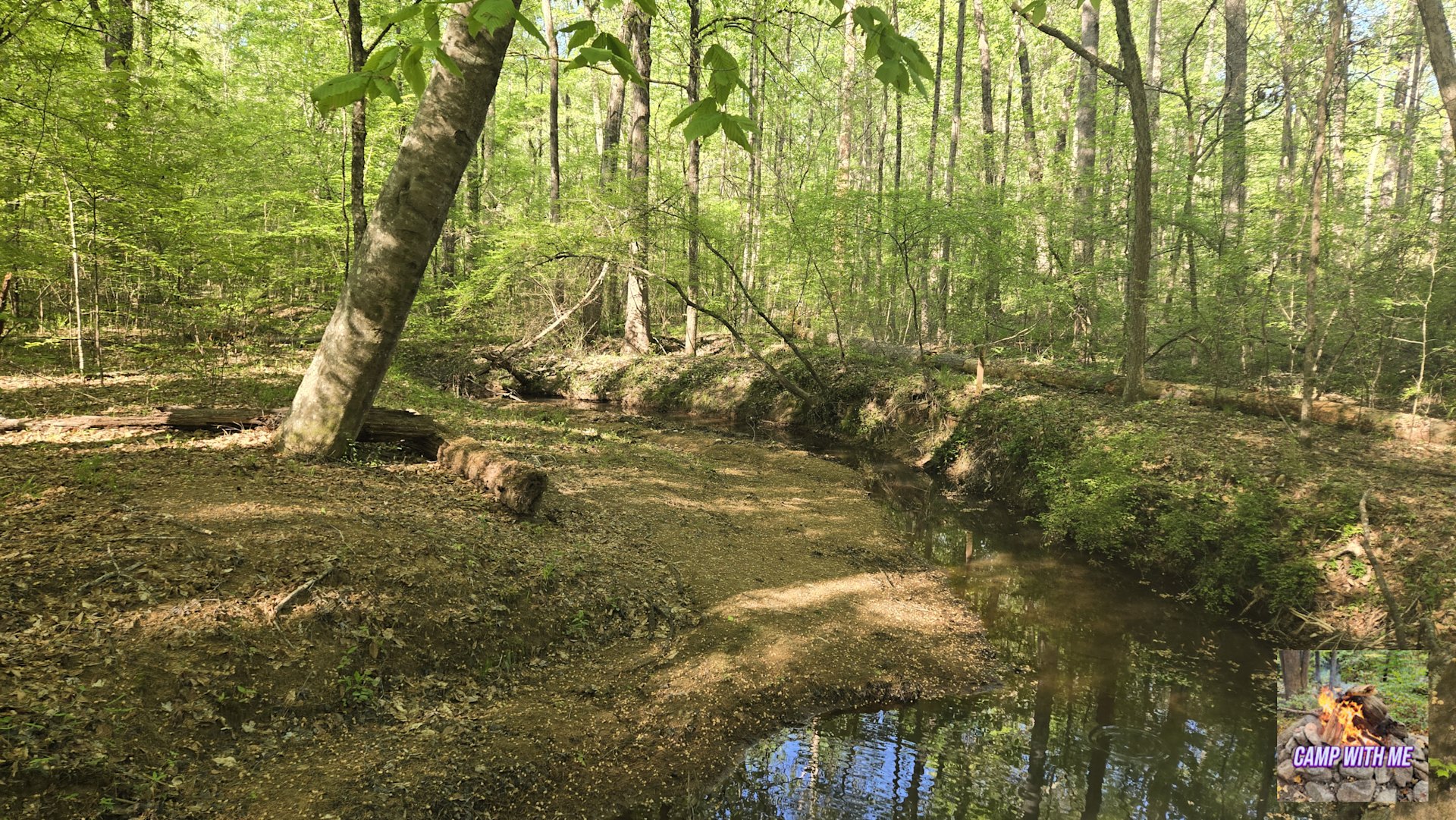 Chattahoochee-Oconee National Forest