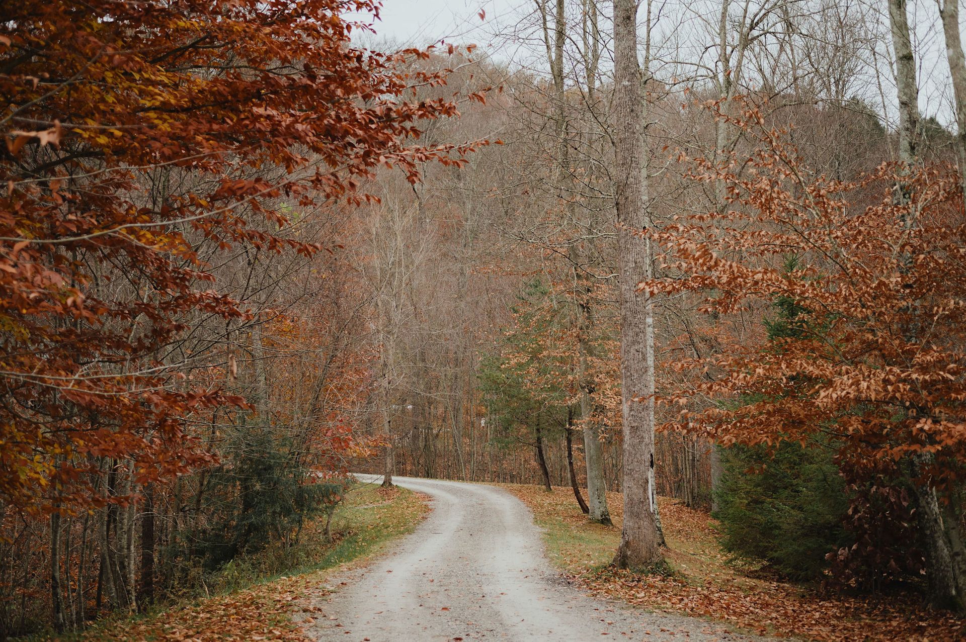 Wind through the woods and settle into the peaceful Hocking Hills setting at Pine Creek.