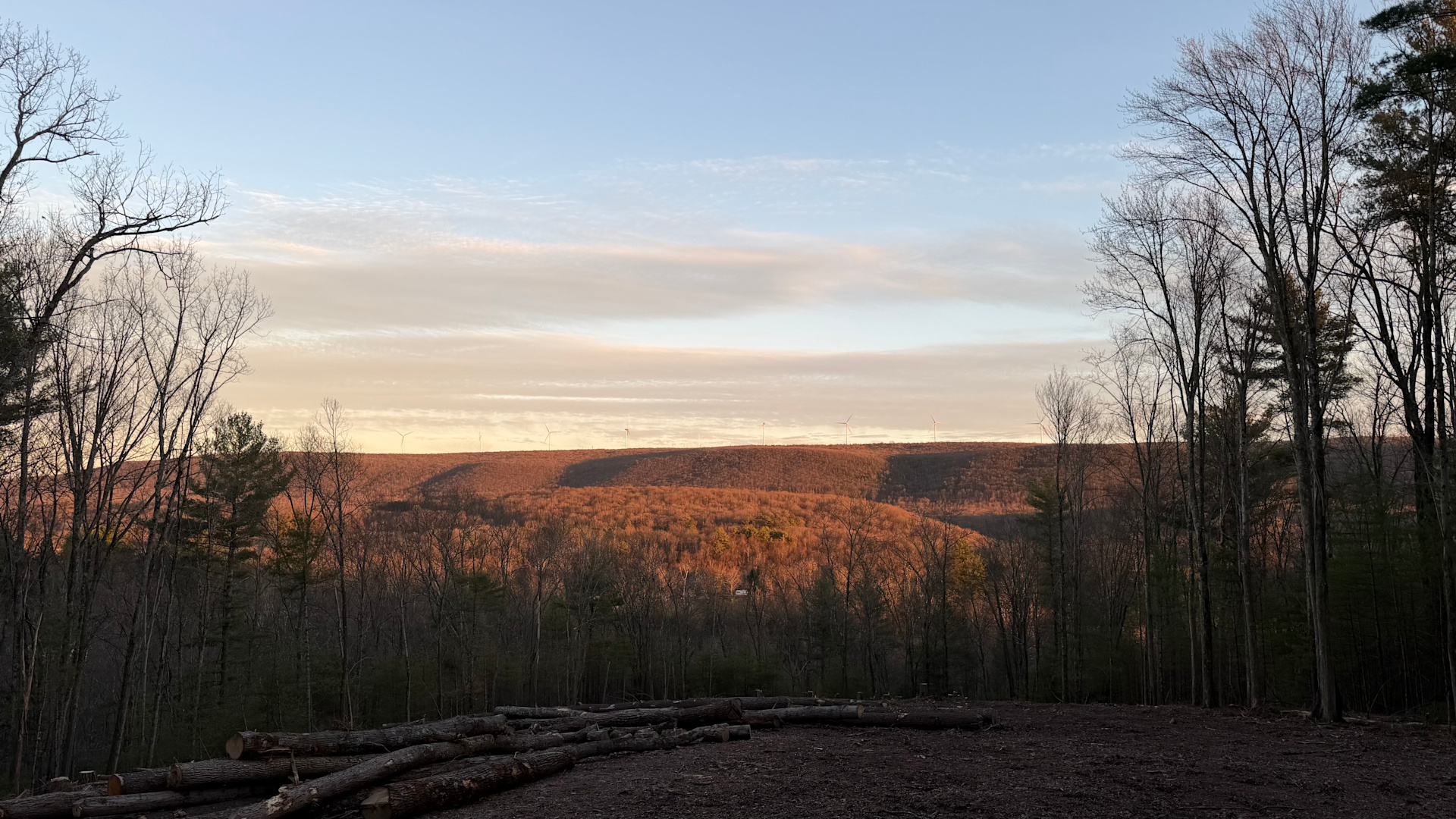 Whitetail Summit