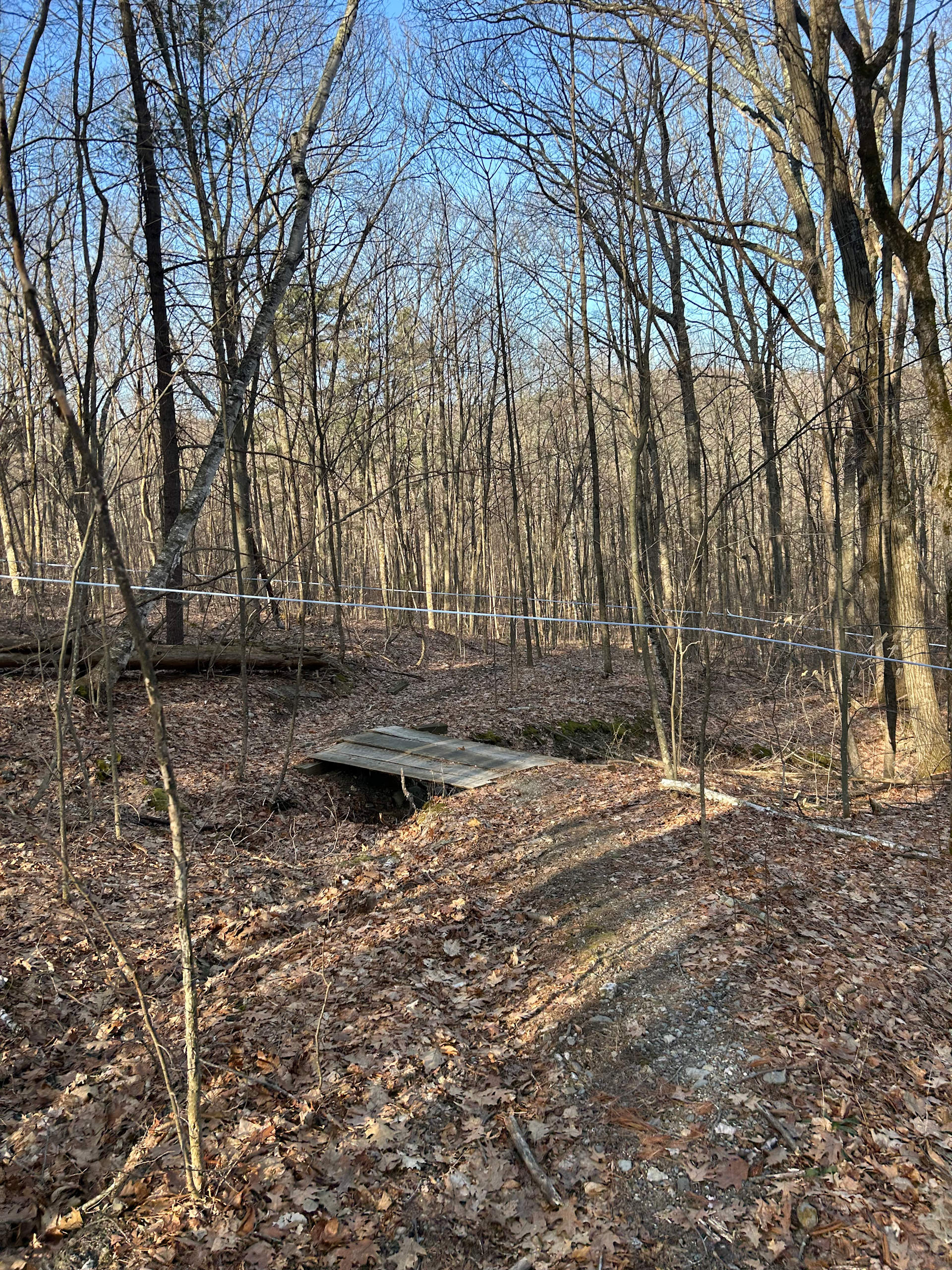 Birdseye Primitive Cabin