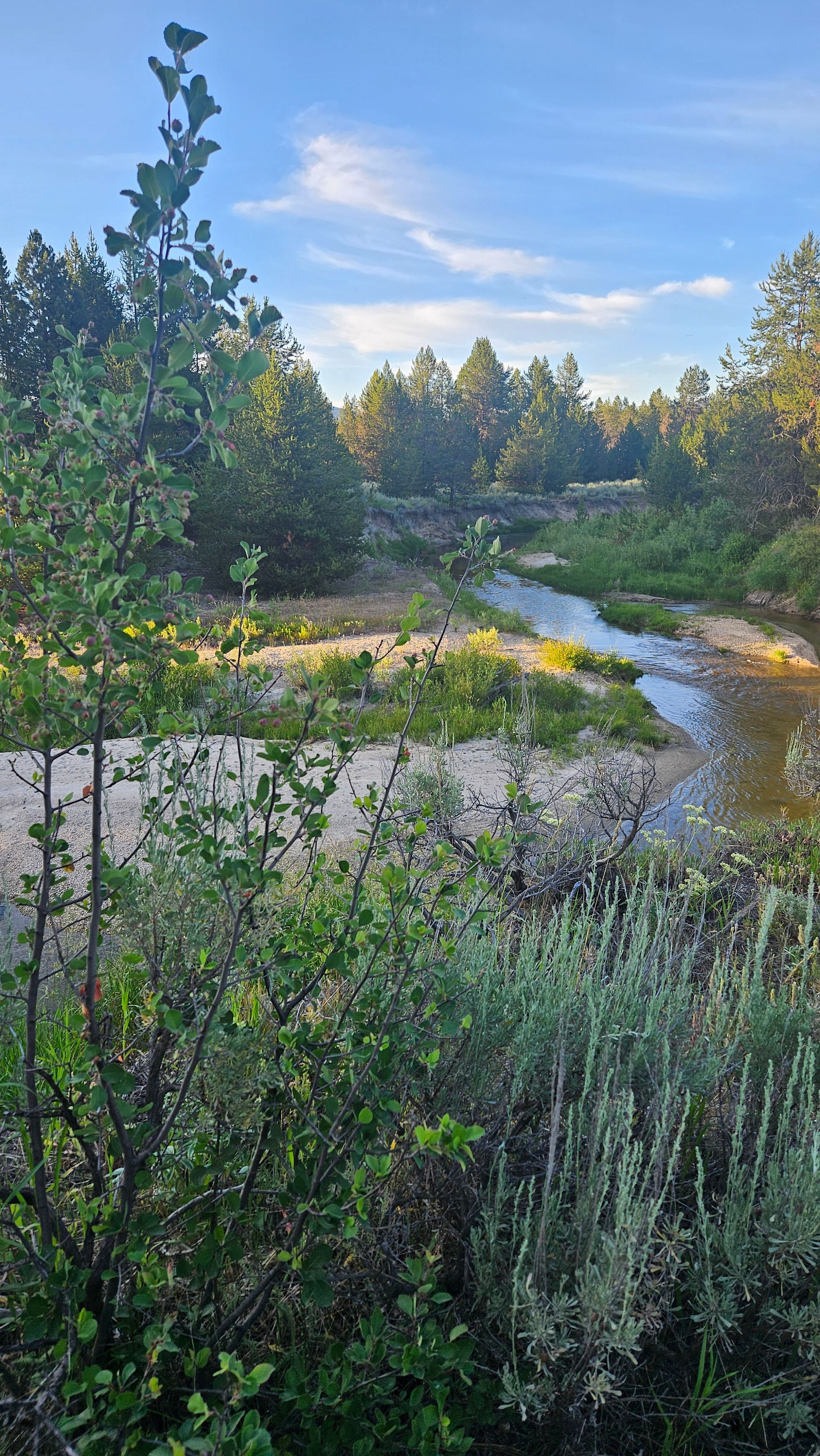 Cascade Creek RV Retreat