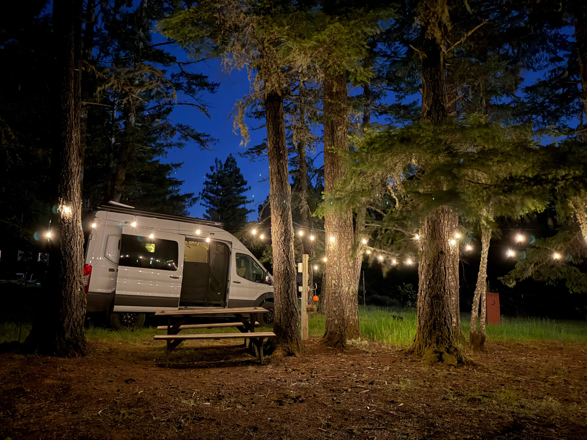 Glade site
