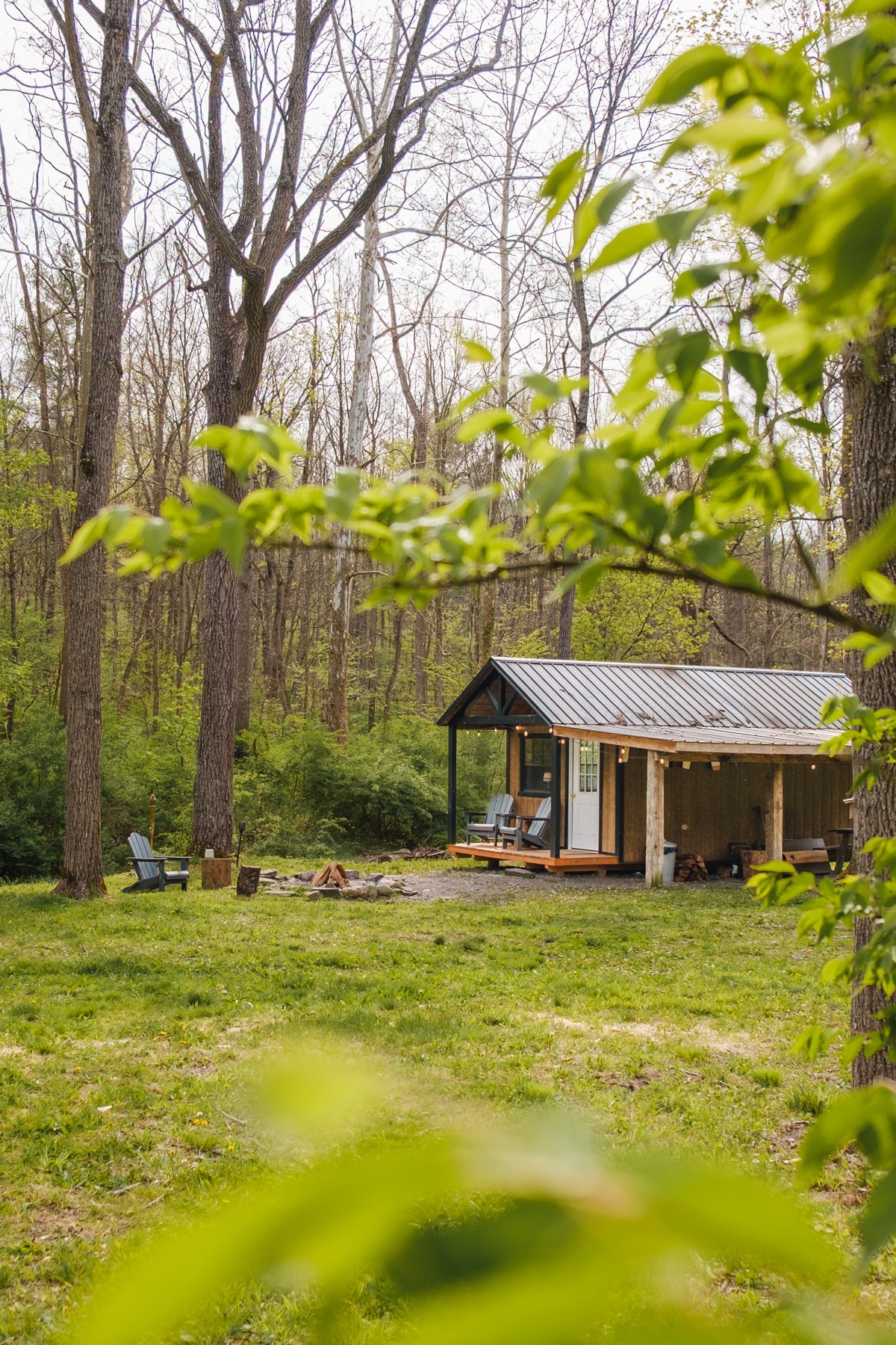 The cabin 
