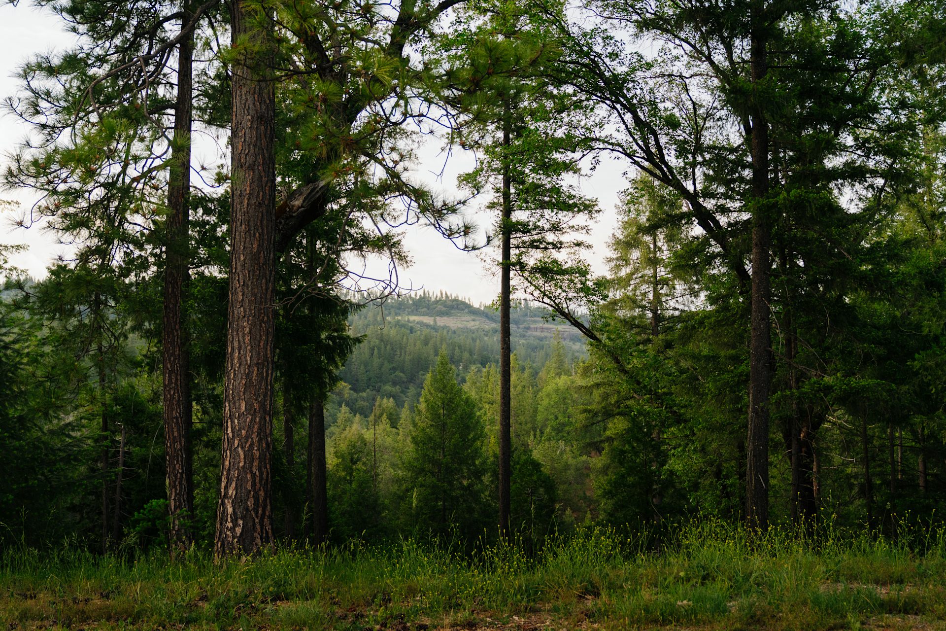 Kantu Outdoor Adventures