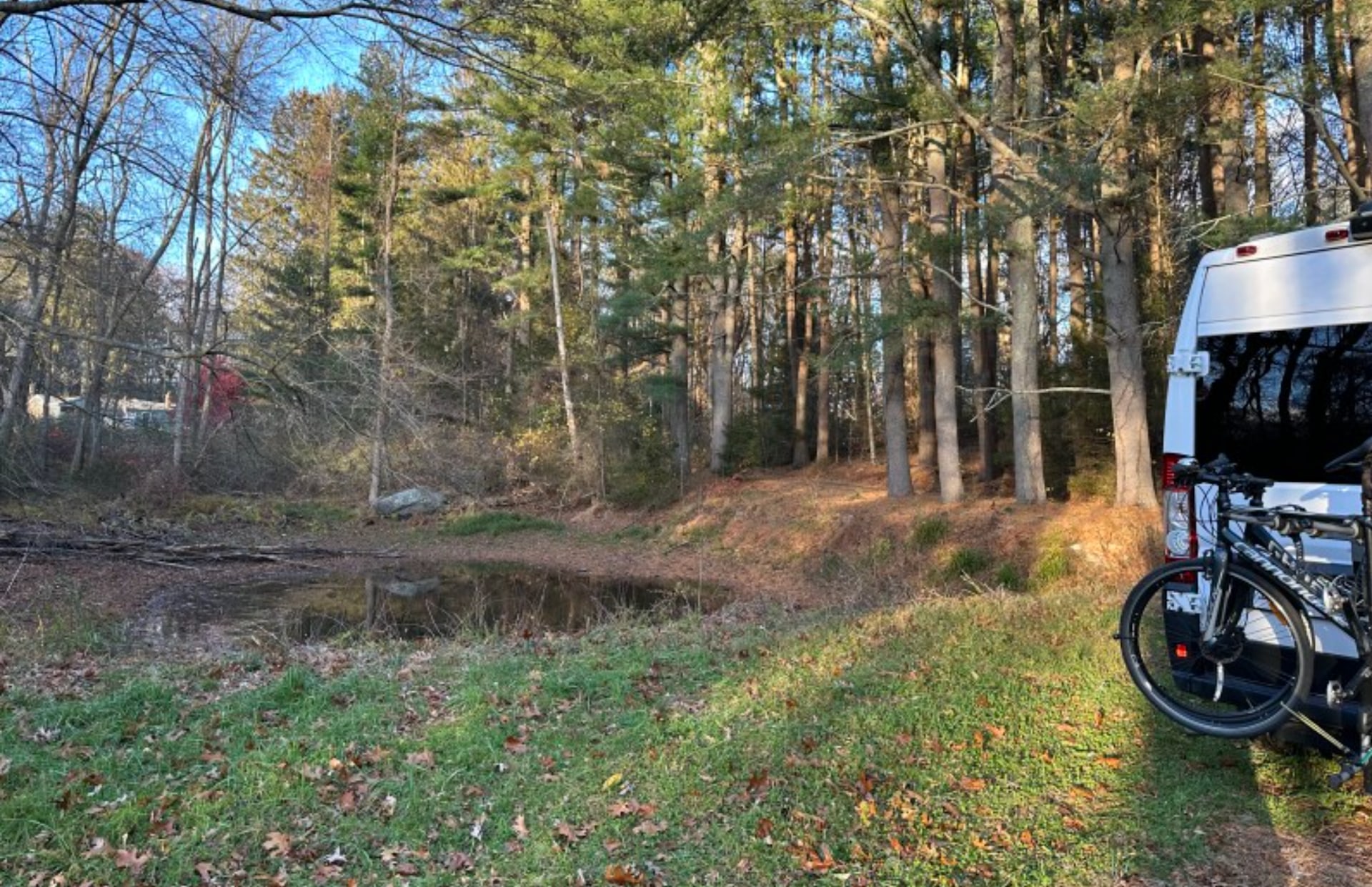Stone Field Farm