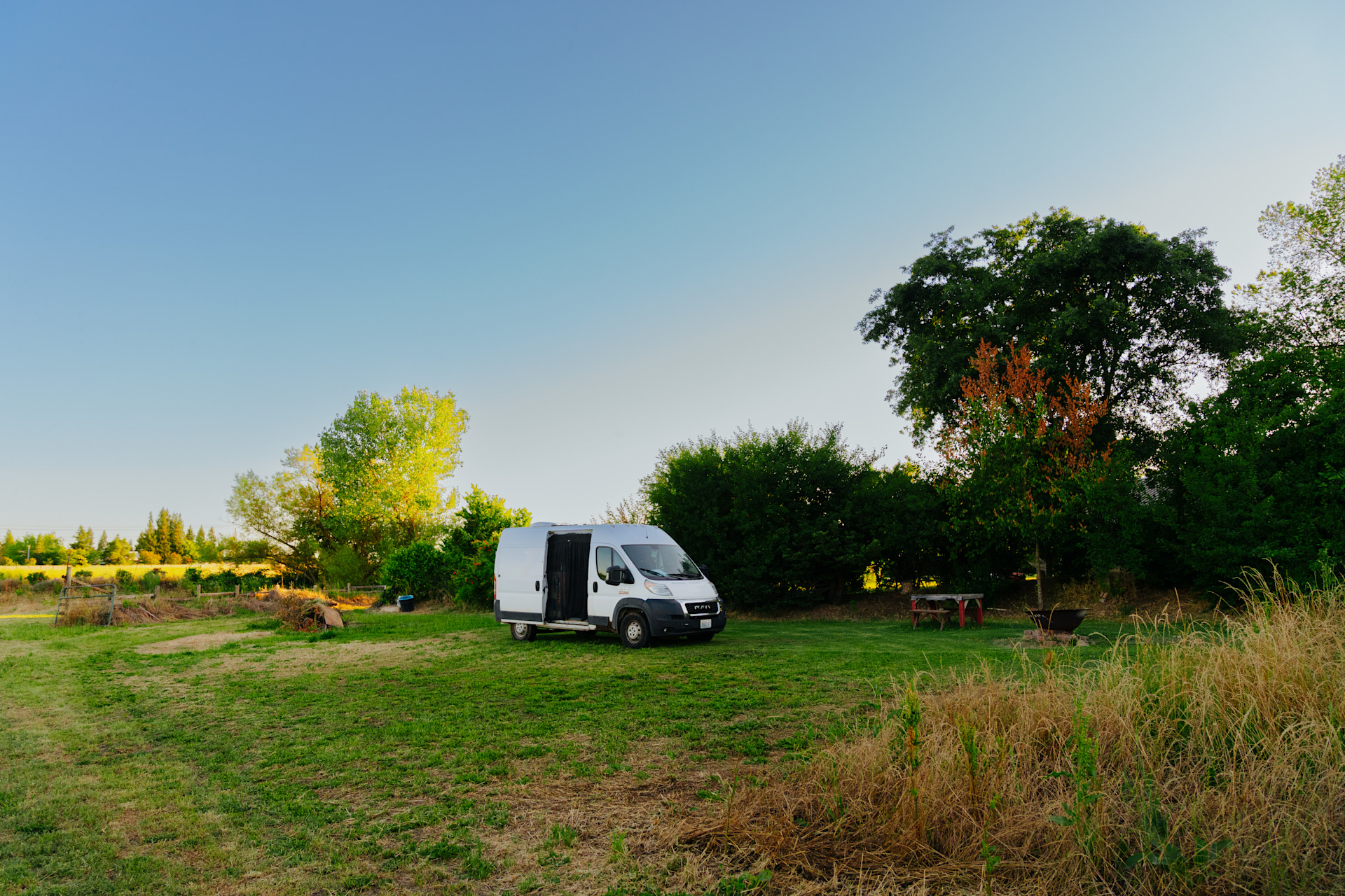 The Foxes  Family Farm