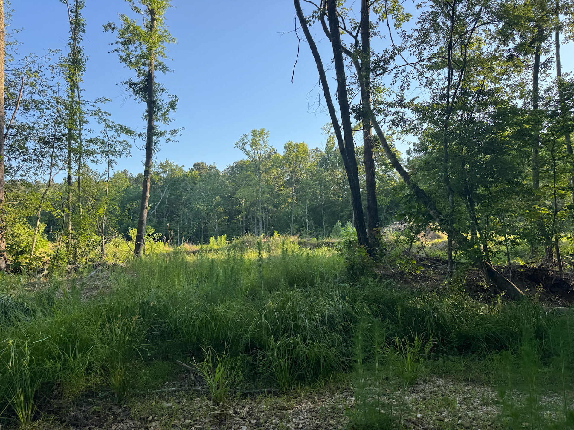 Diamond State RV Park