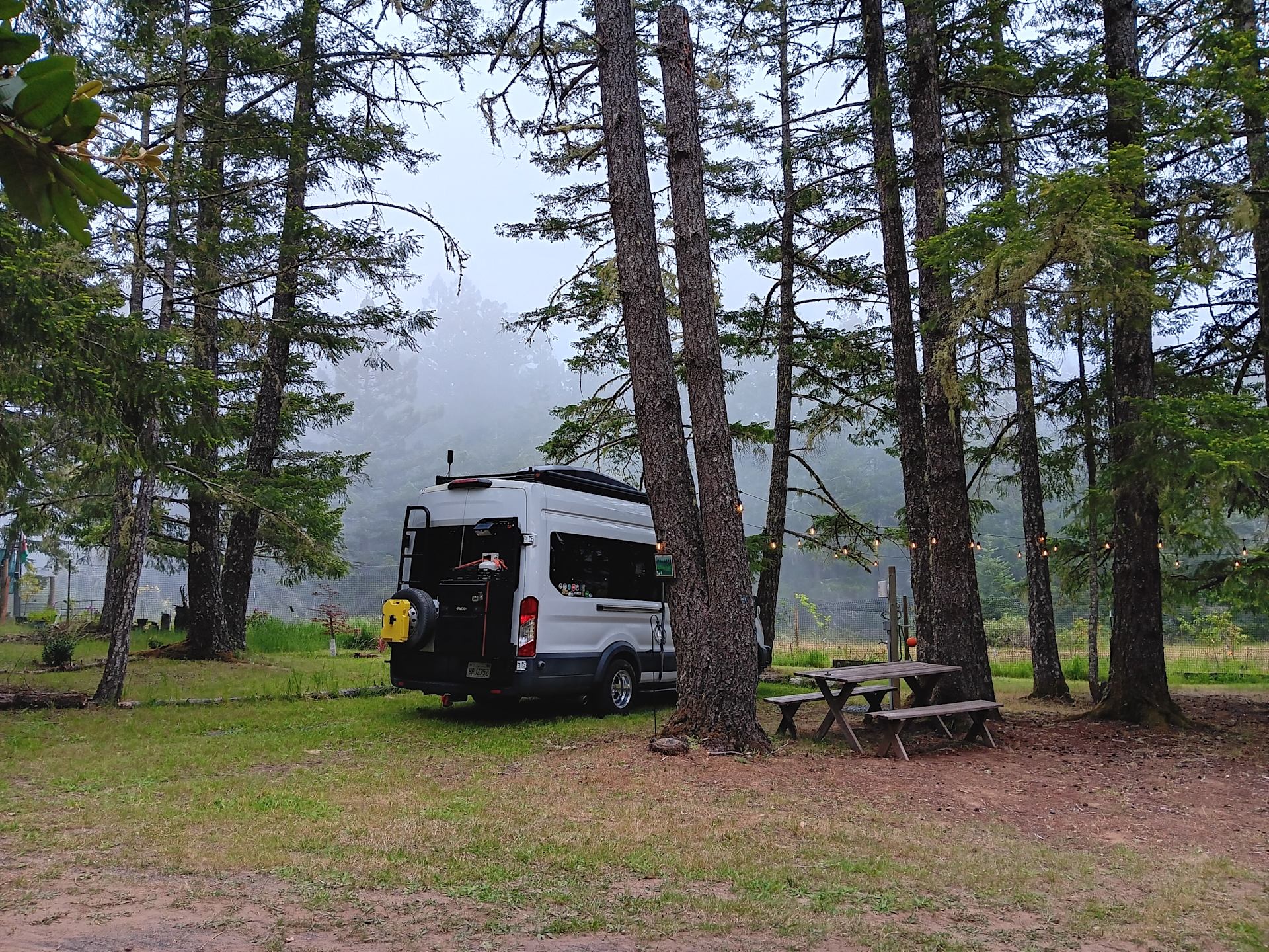 Larkspurs Hollow - Camp & Garden