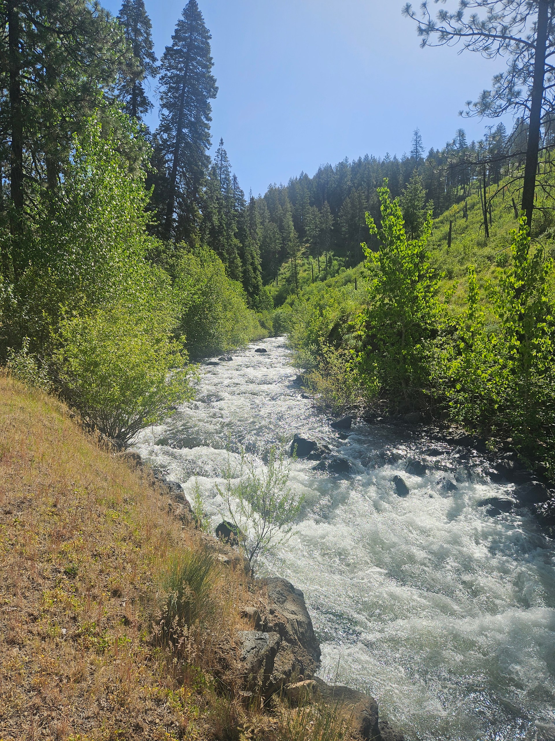 Hiking council mountain about 30 minutes away