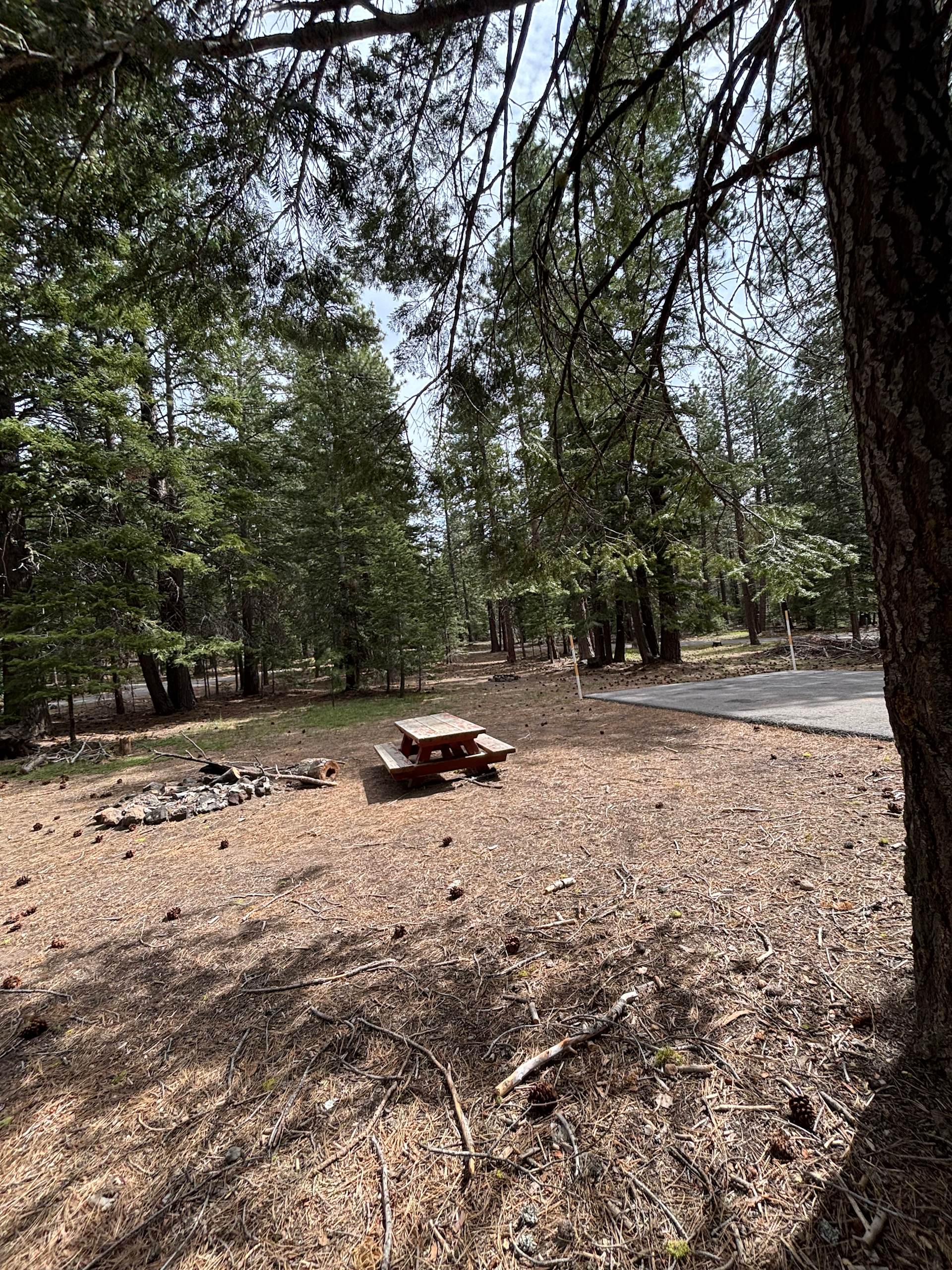 Quick Camping from the 97