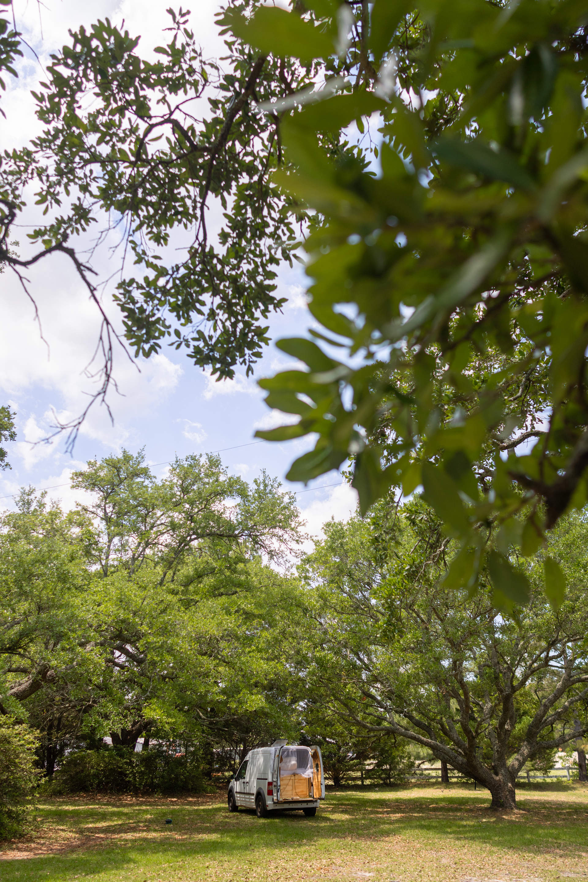 Live Oaks Farm