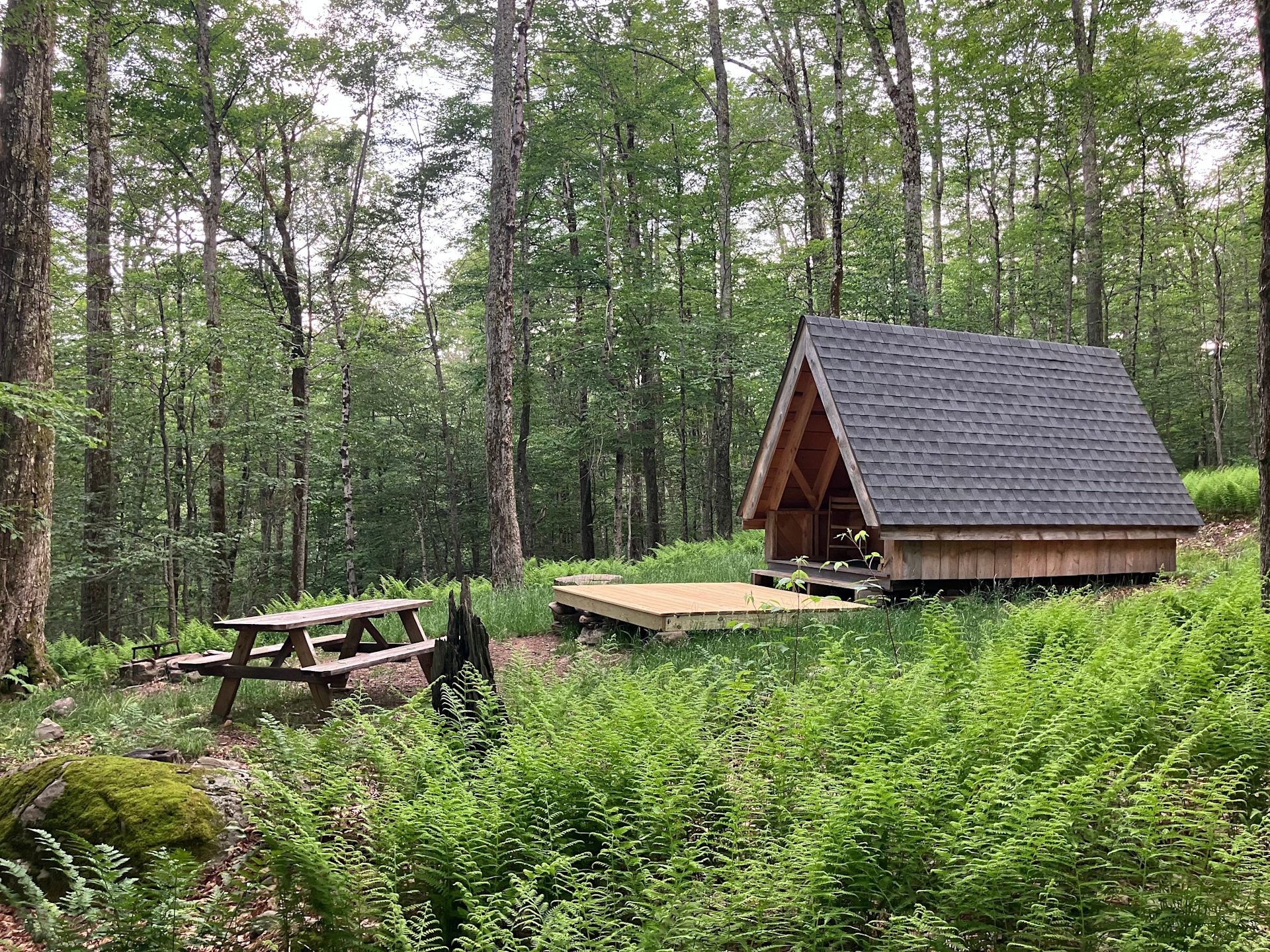 Burr Oaks Forest secluded campsites