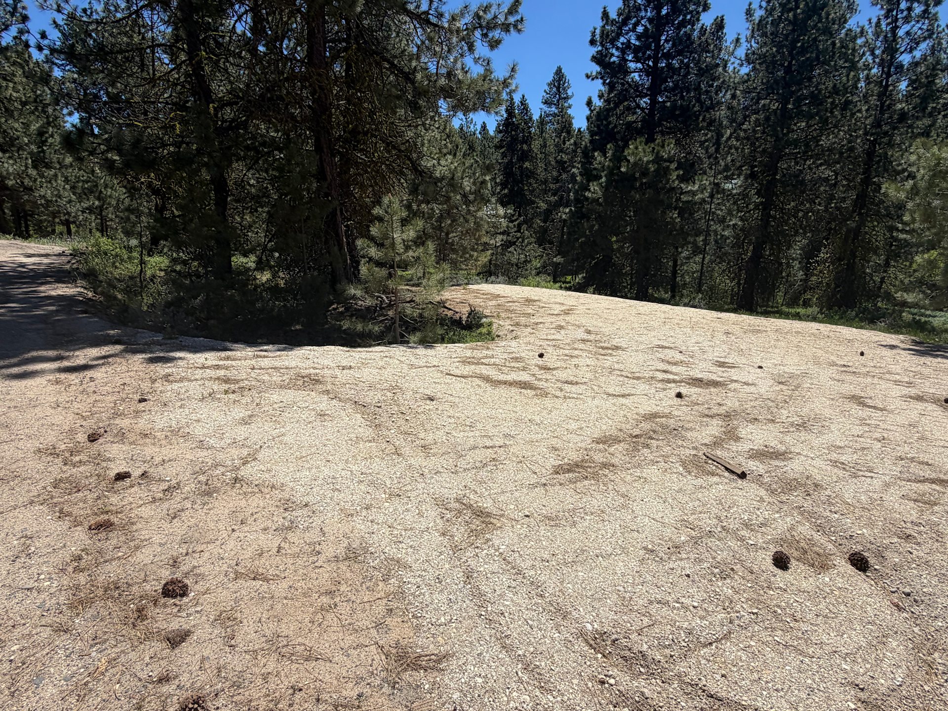 Lone Pine