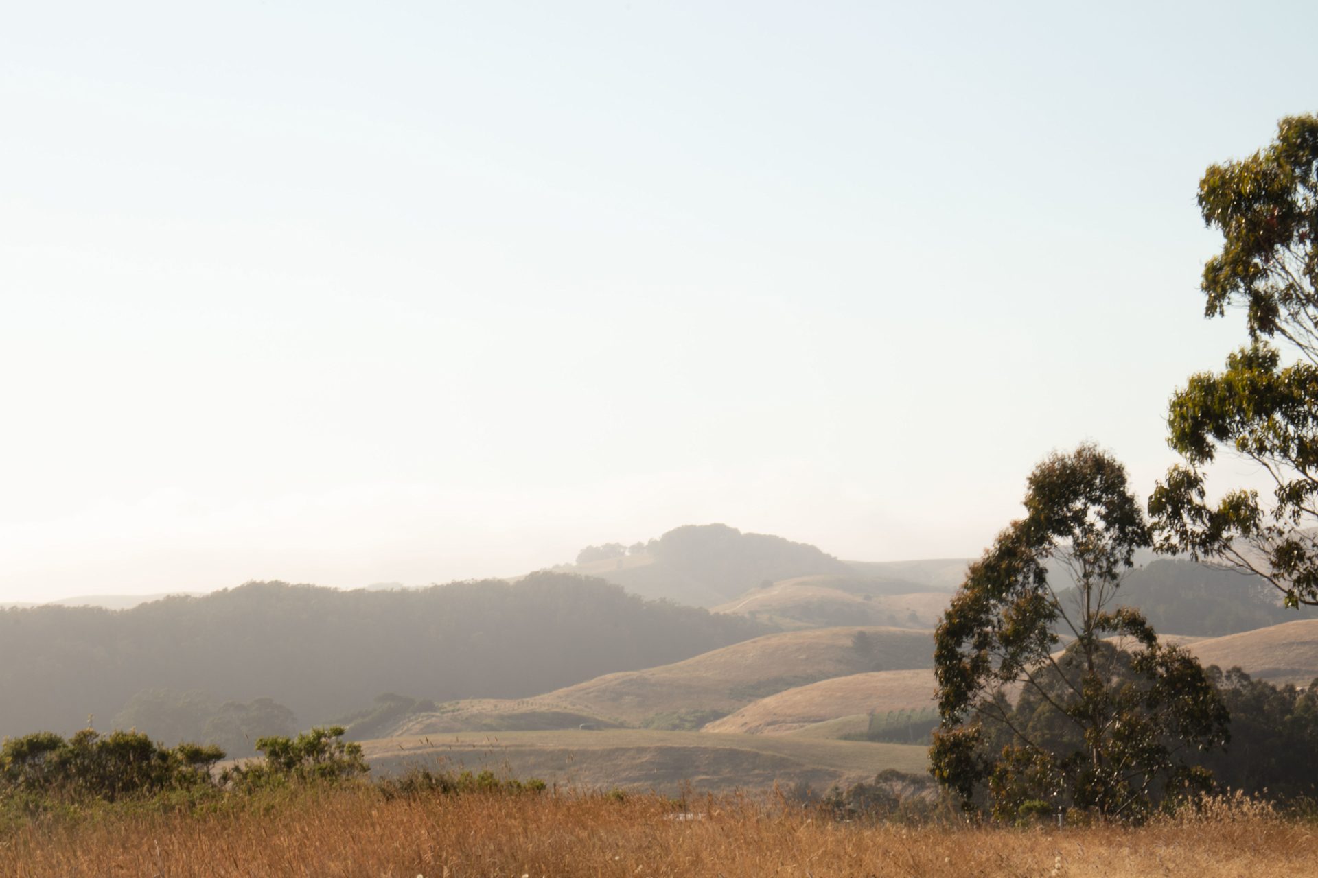 Red Dot Ranch