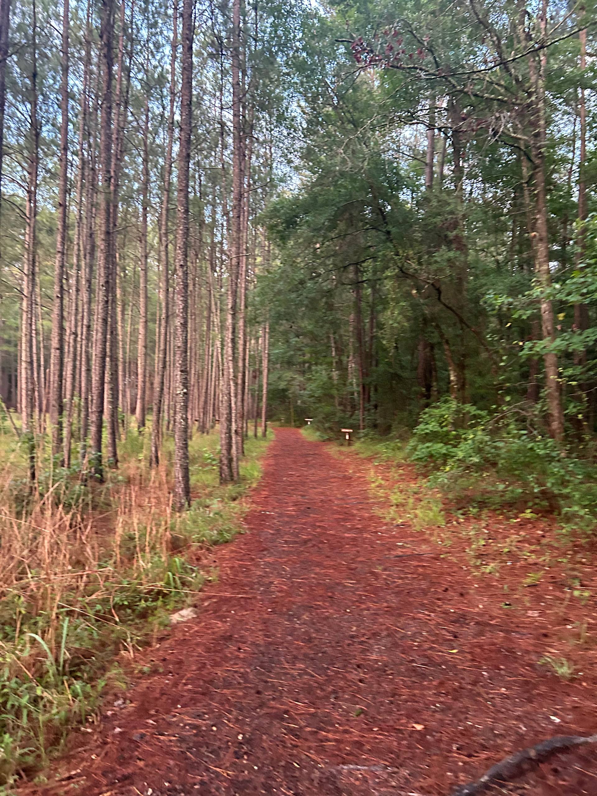 Congaree National Park