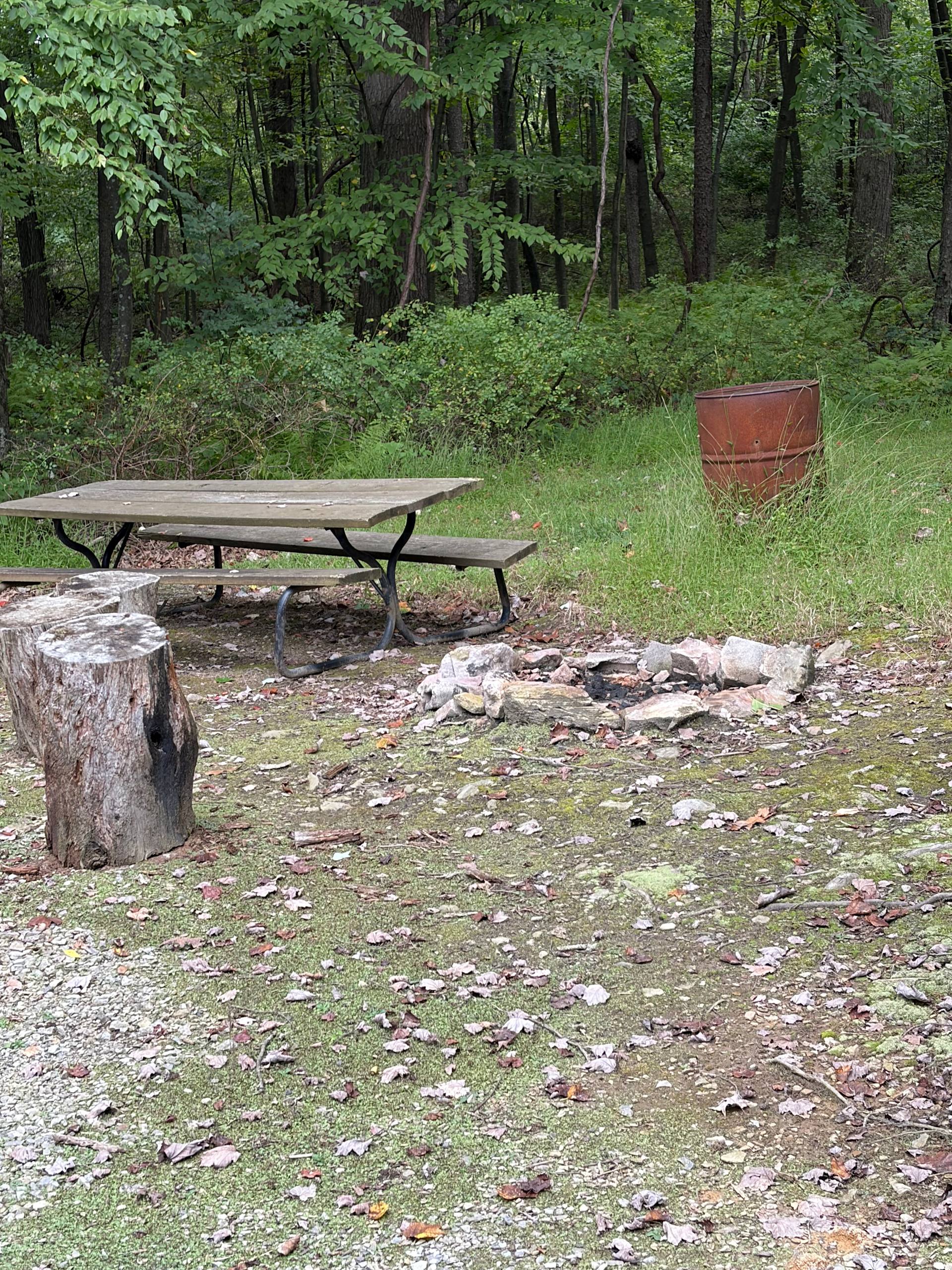 Serenity Near State College