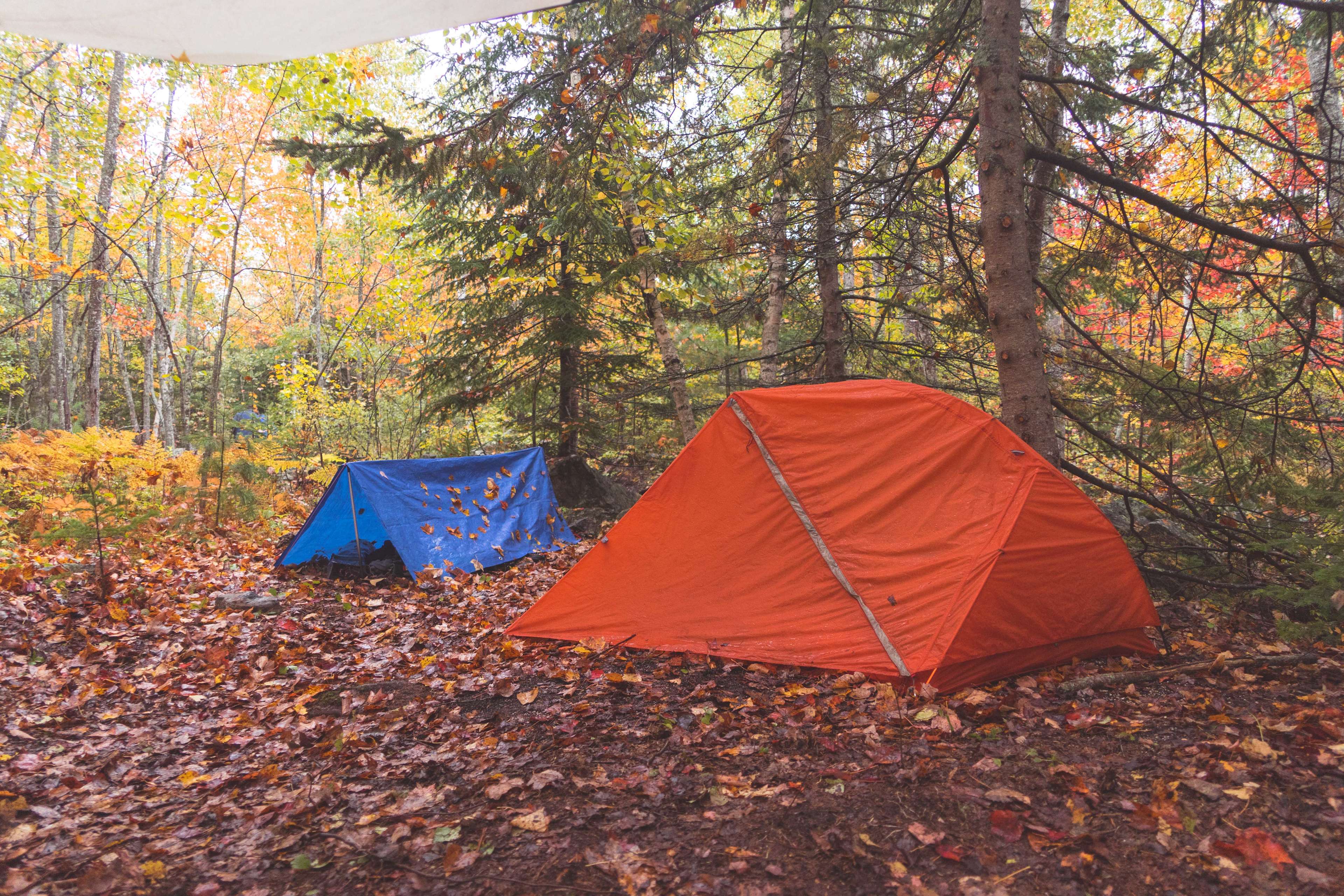 Camps of the Pioneers Hipcamp in Ellsworth, Maine