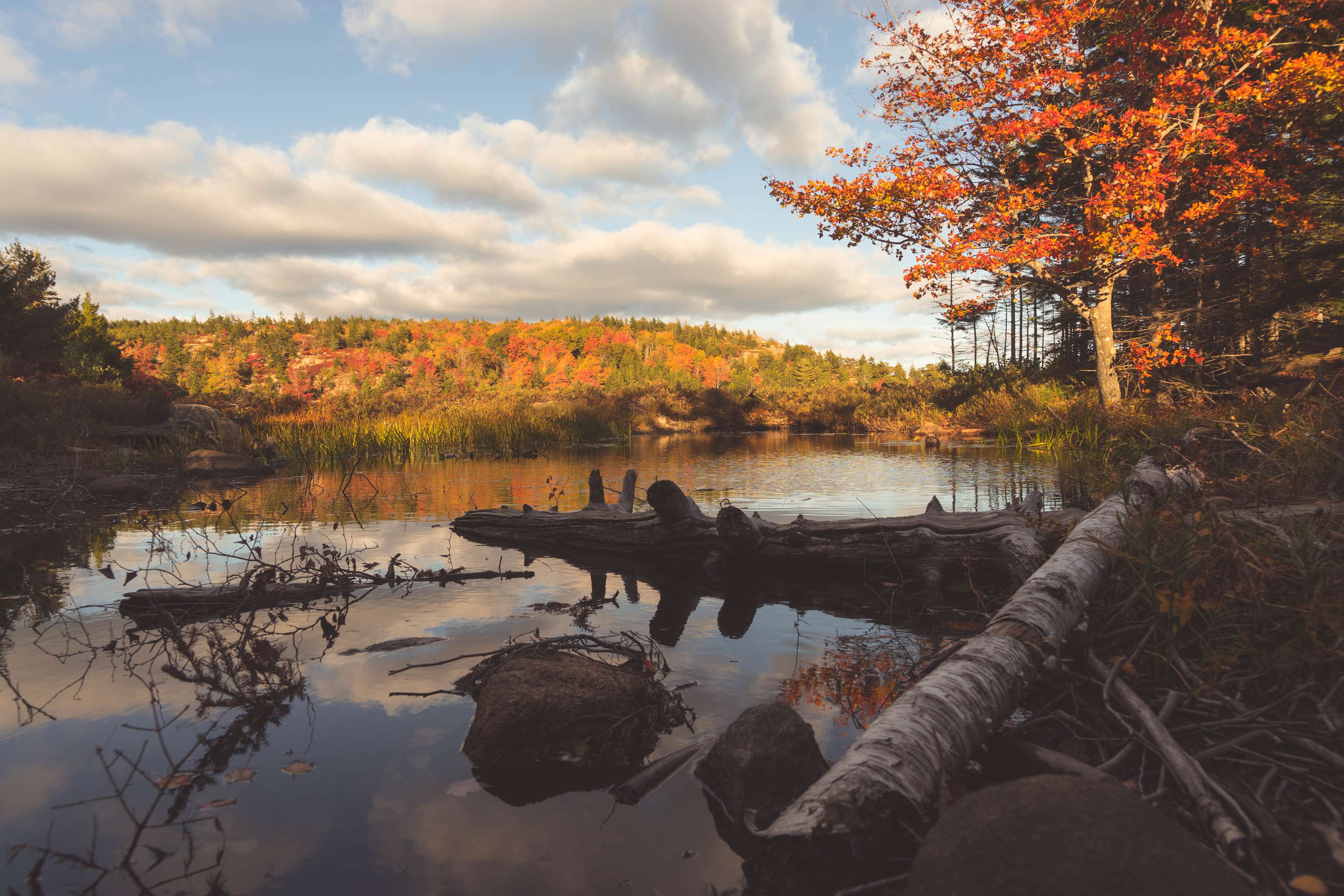 Camps of the Pioneers Hipcamp in Ellsworth, Maine