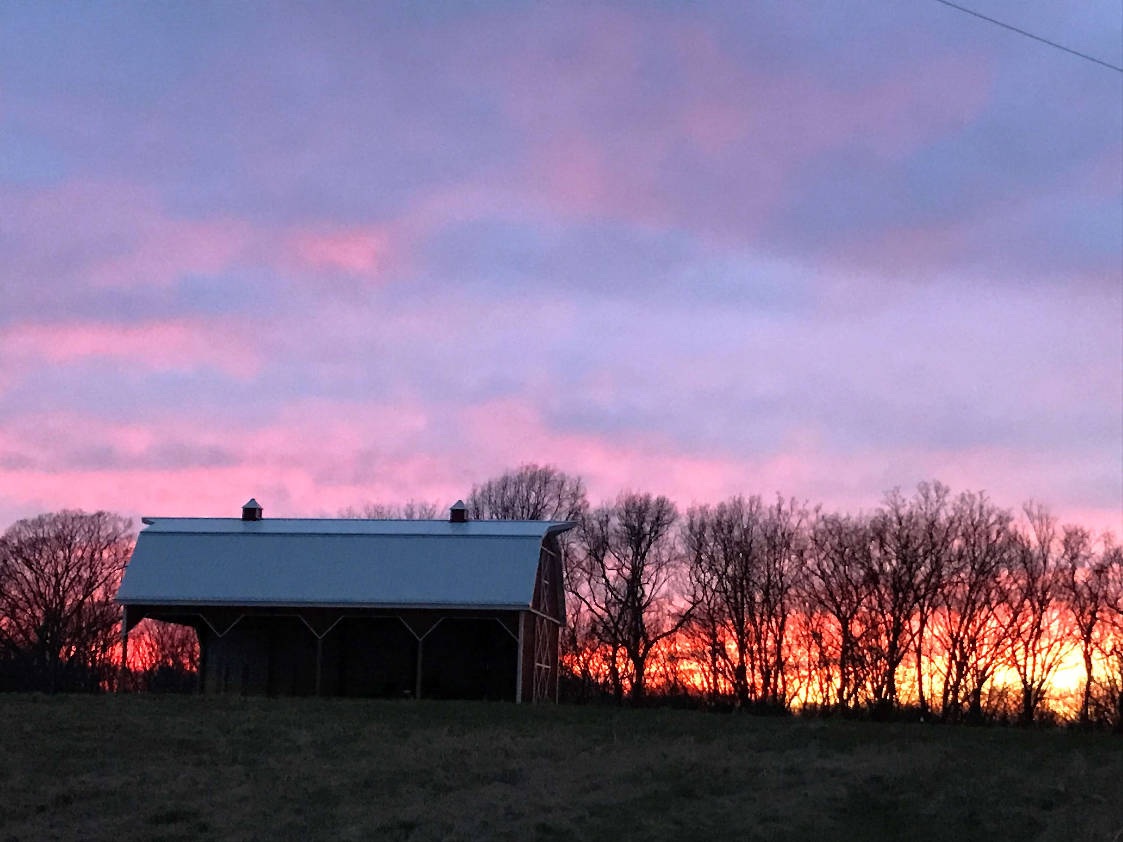 Selby Farm Horse Retirement Hipcamp in , Missouri