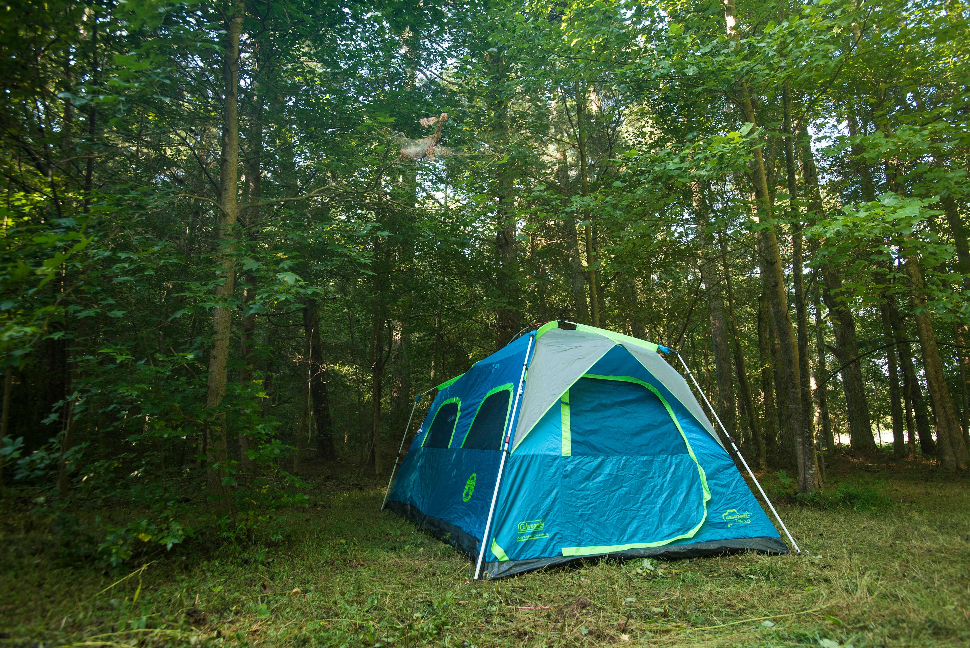 Camp Mountain Lake Retreats Hipcamp in Tracy City, Tennessee