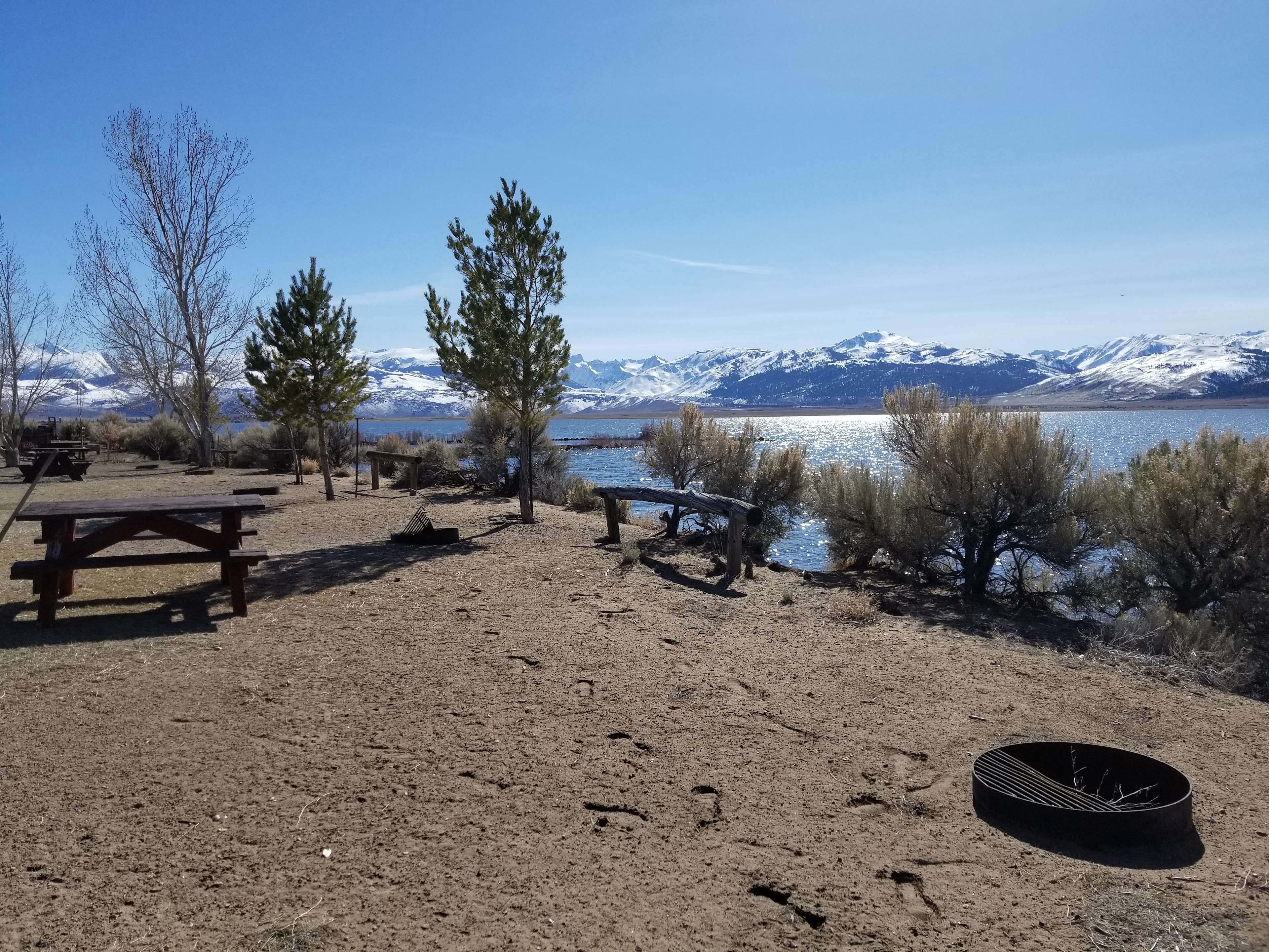 Bridgeport Reservoir Campground - Hipcamp in , California