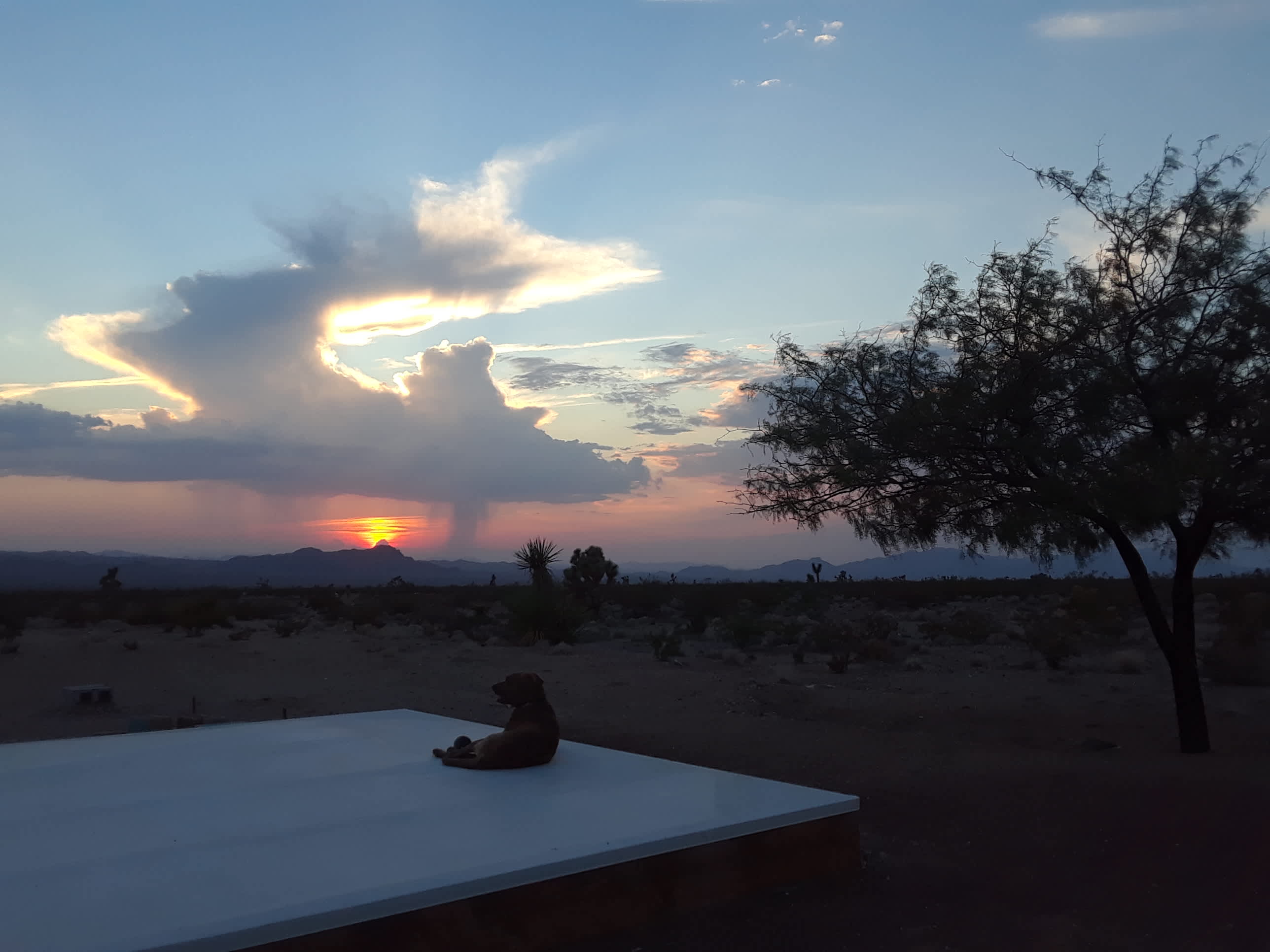 Silver Sunsets Hipcamp in White Hills, Arizona