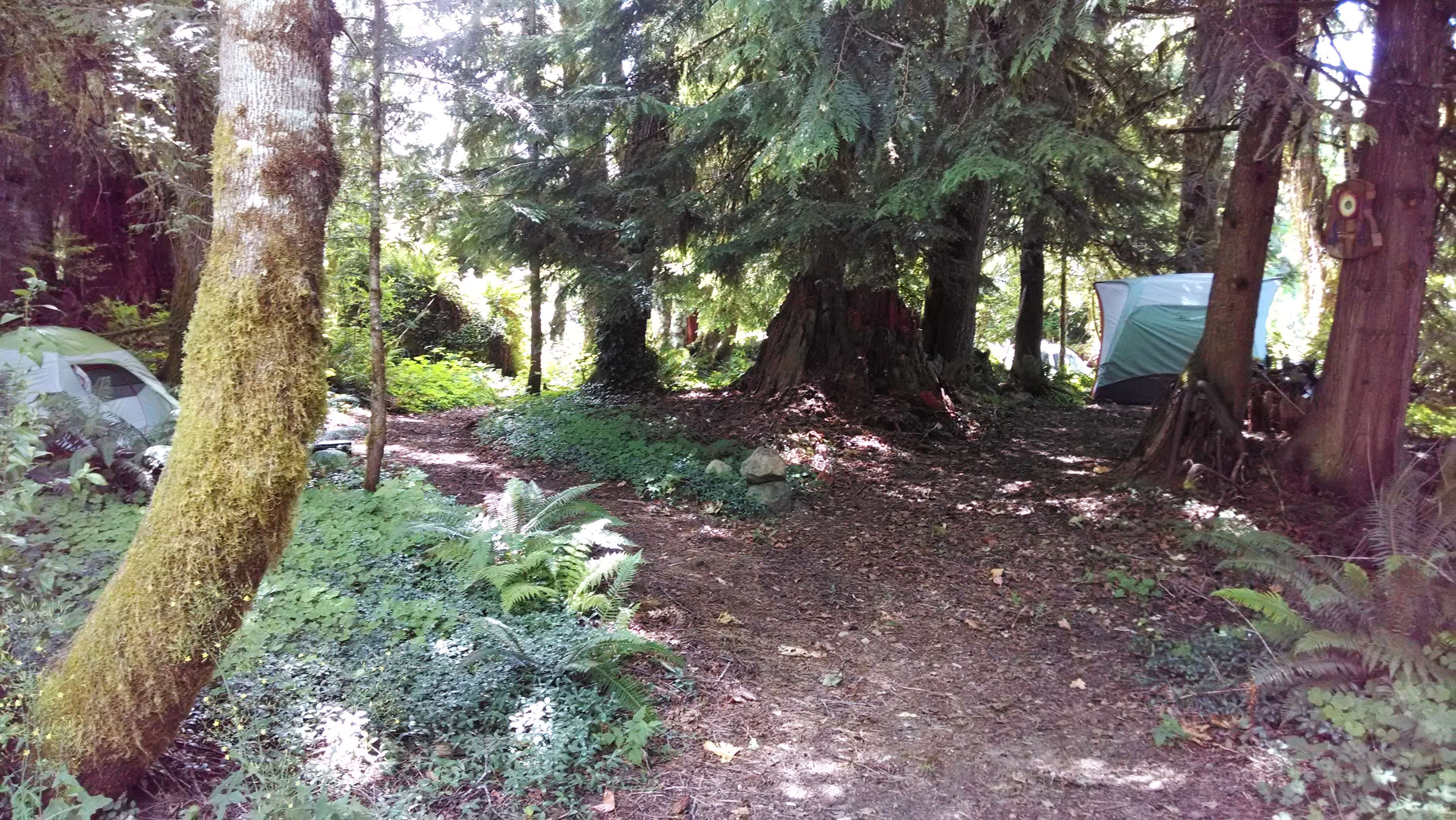 Zigzag Mountain Farm Hipcamp in Rhododendron, Oregon