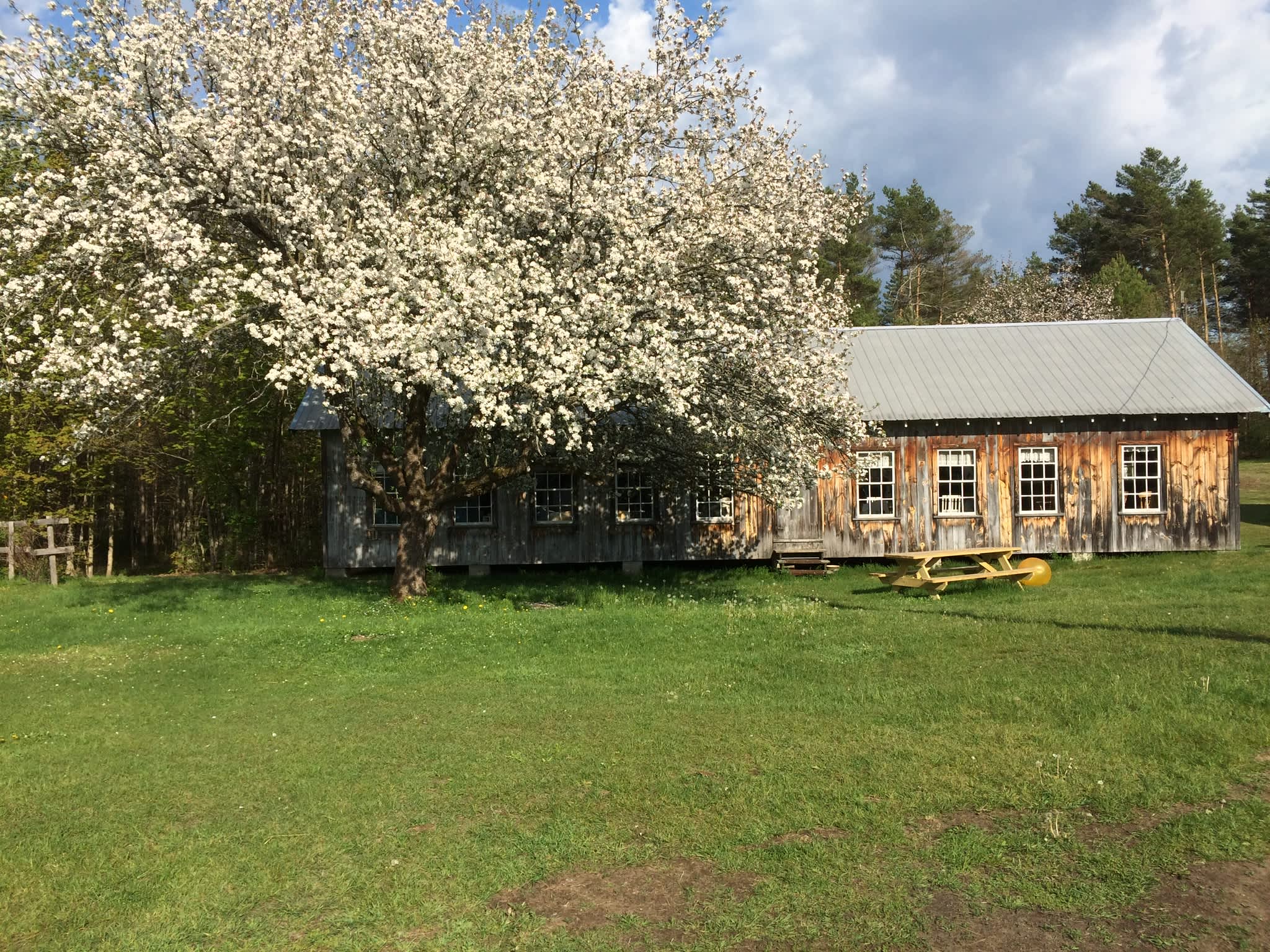 Camp Benjamin Hipcamp in Boonville, New York
