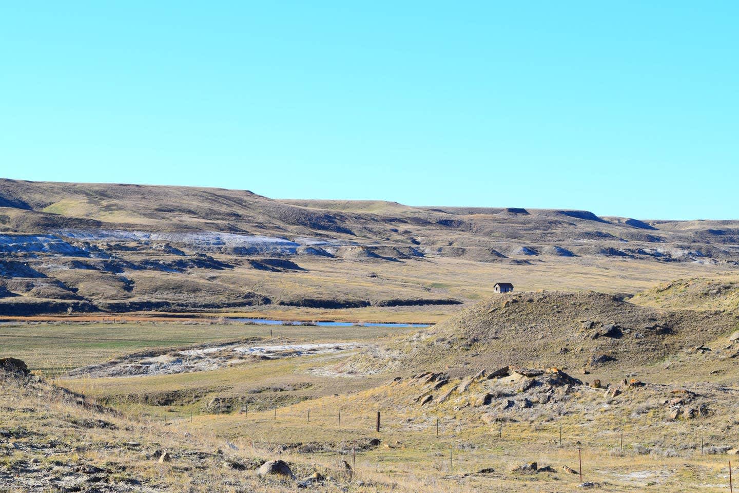Jody H.’s Land Hipcamp in Rudyard, Montana