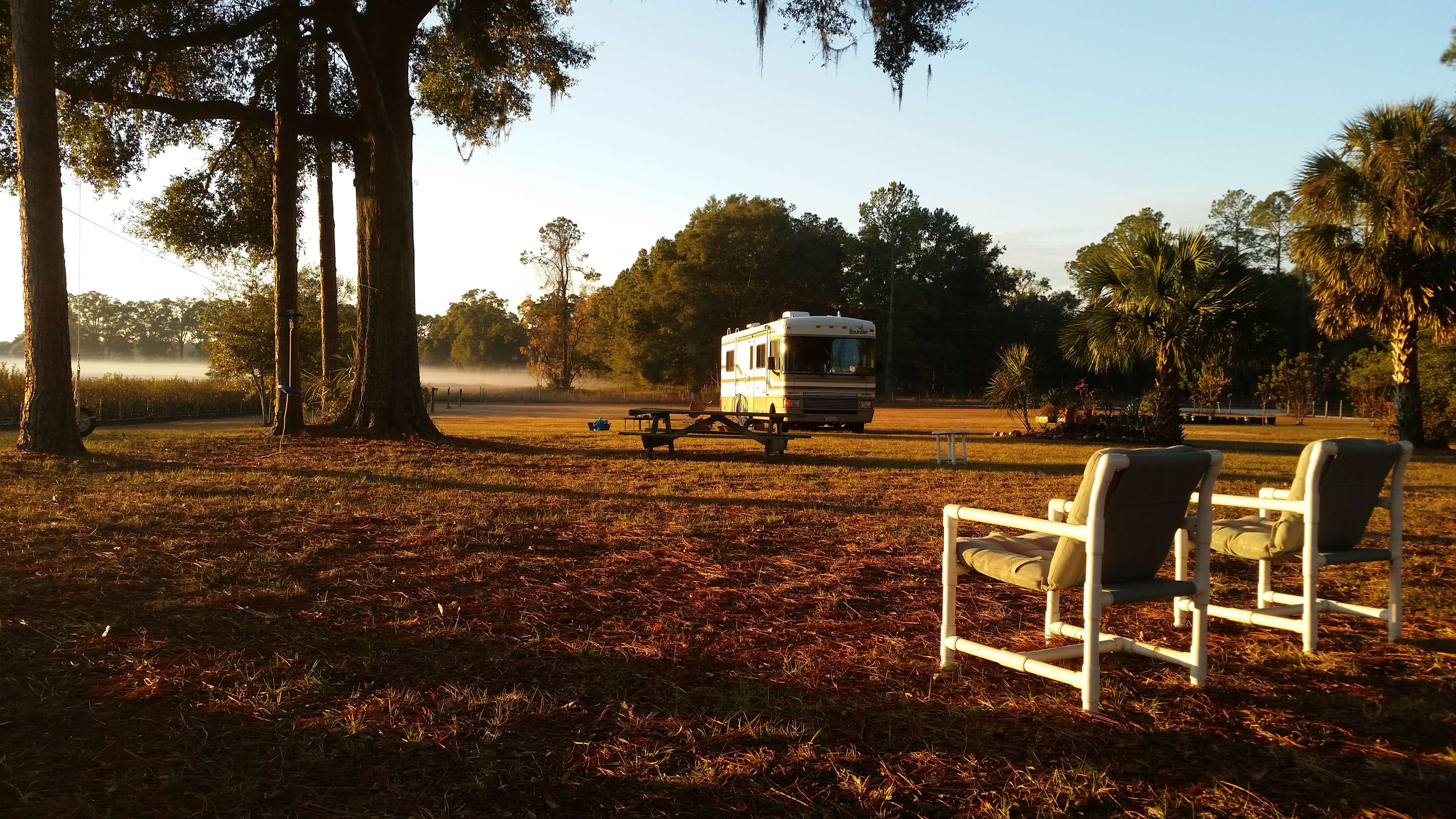 Caceres Organic Blueberry Farms Hipcamp in Old Town, Florida