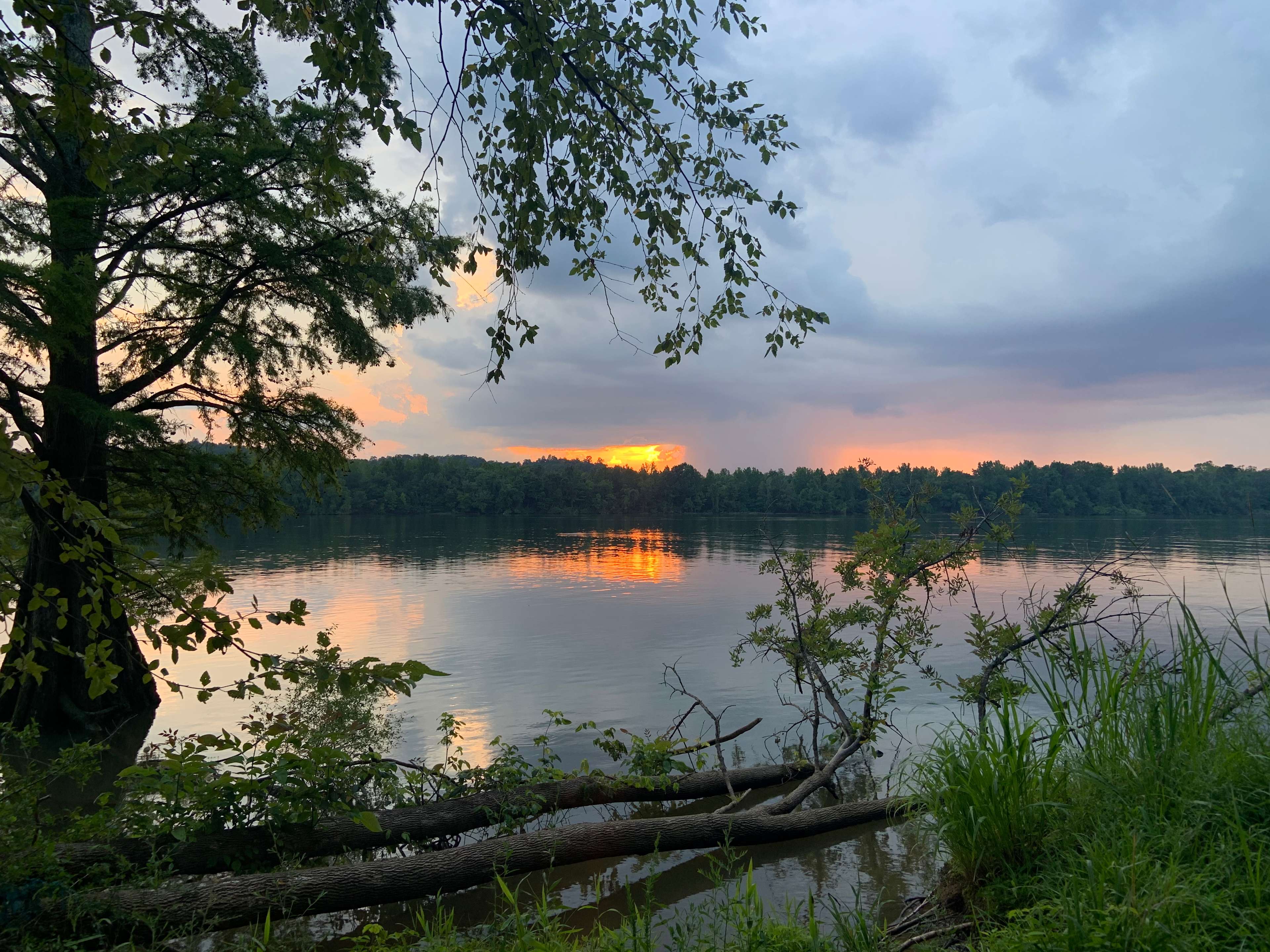 Blue Heron Landing - Hipcamp in Lobelville, Tennessee