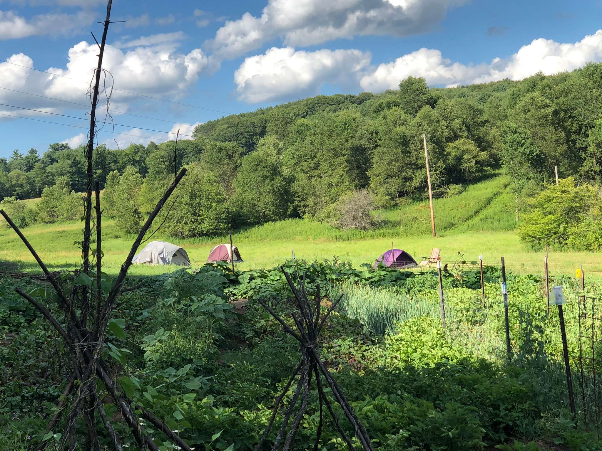 Stargazing Field at Olga Farm Hipcamp in Coudersport, Pennsylvania