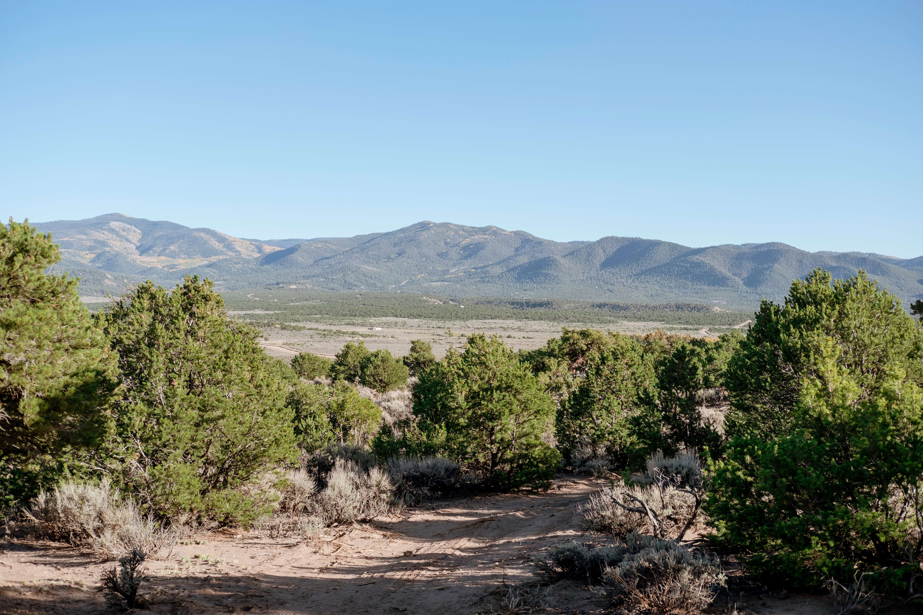 Campe Diem! Hipcamp in , Colorado