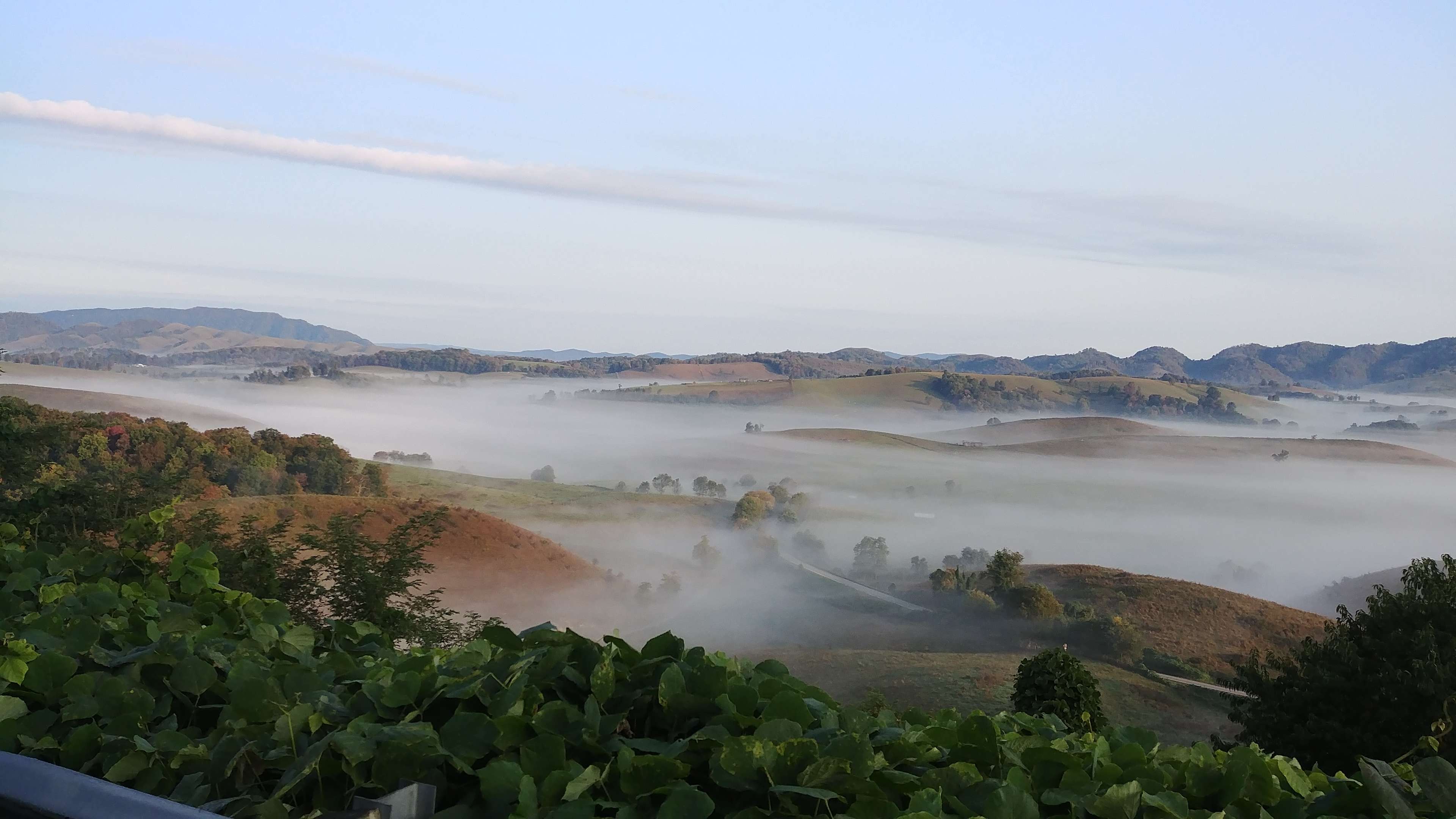 Ted's Wildlife Habitat Hipcamp in Tannersville, Virginia