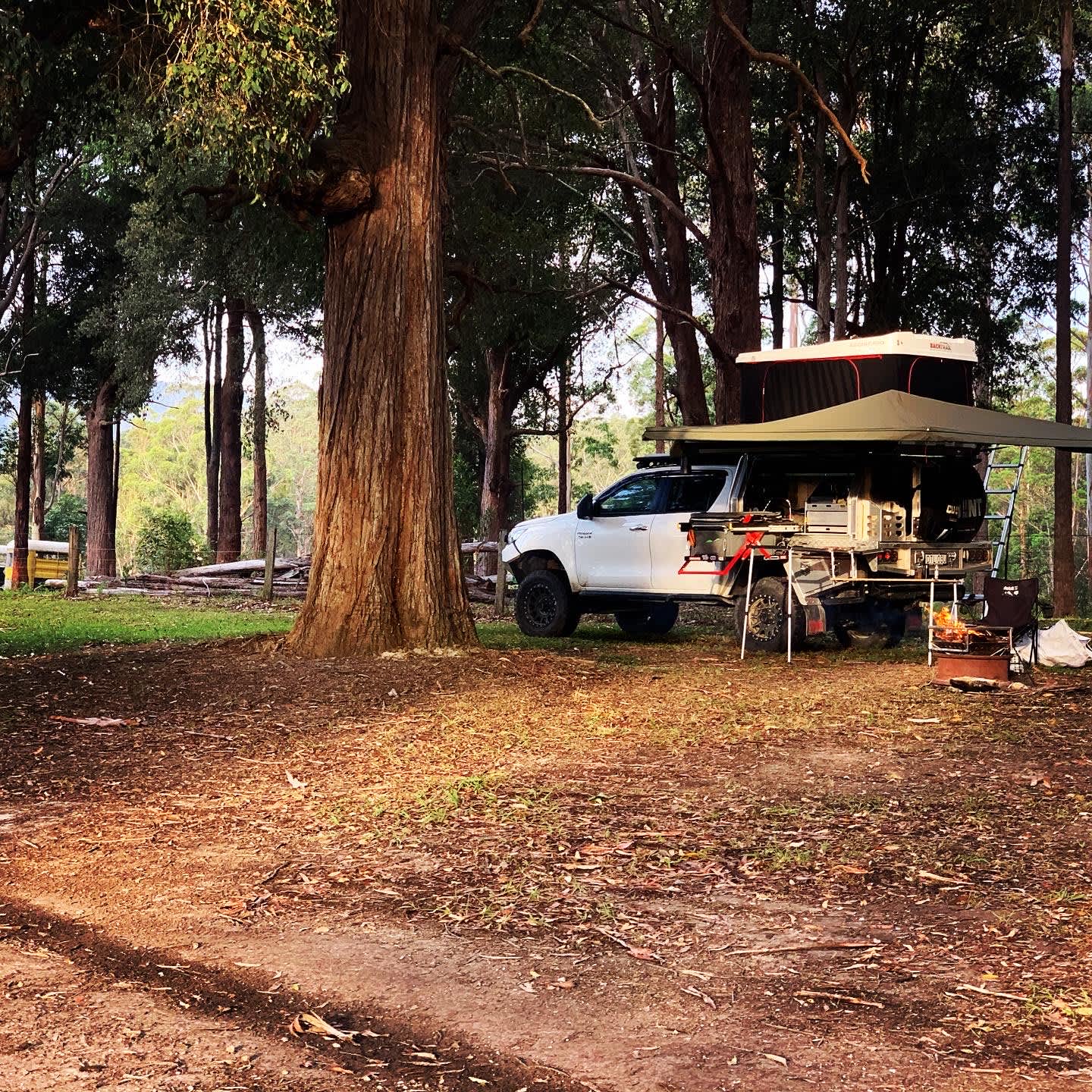 Coffs Harbour Camping & 4WD Hipcamp in Bucca, New South Wales