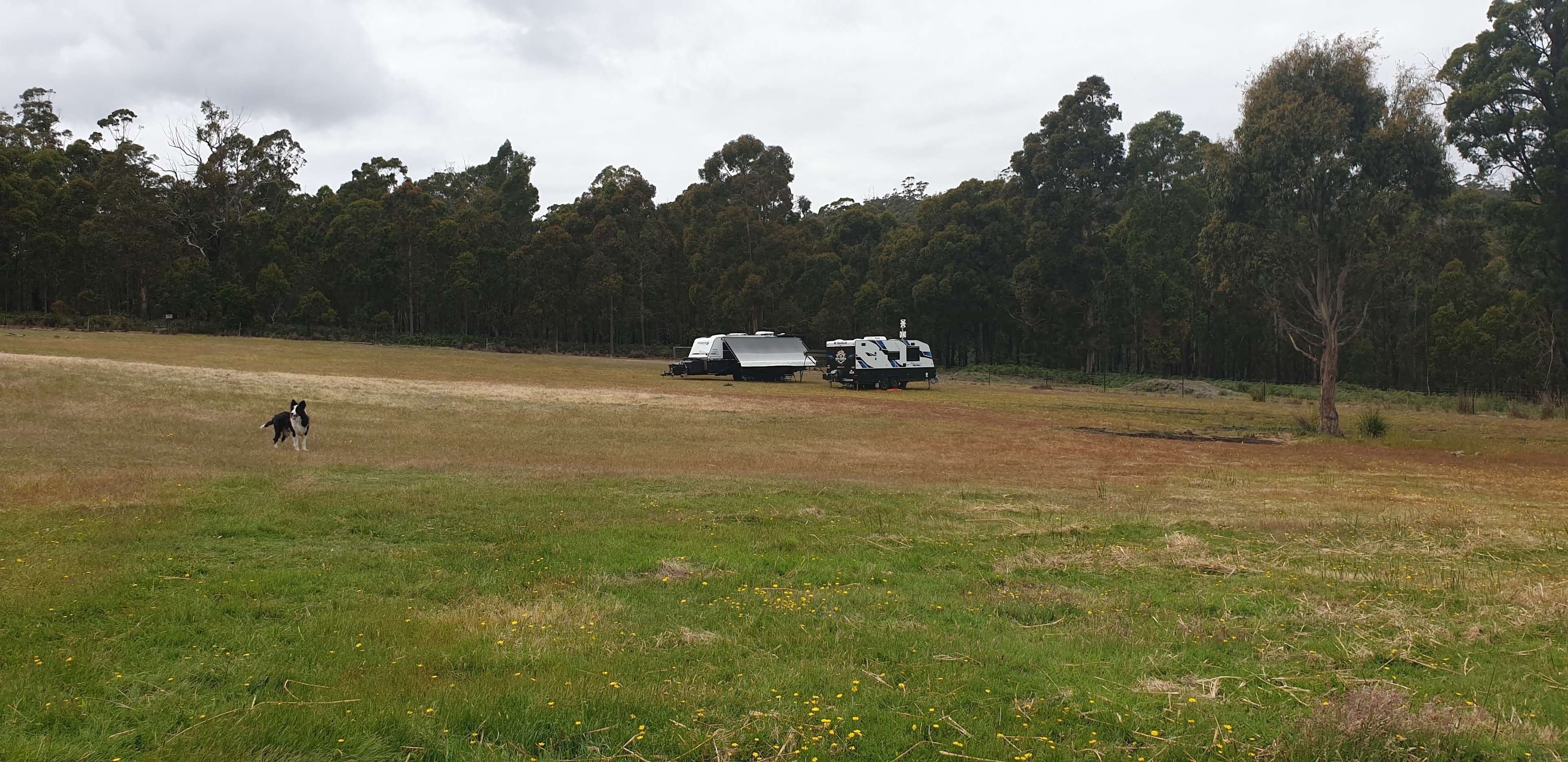 White Hill Nature Camp Hipcamp in Forcett, Tasmania