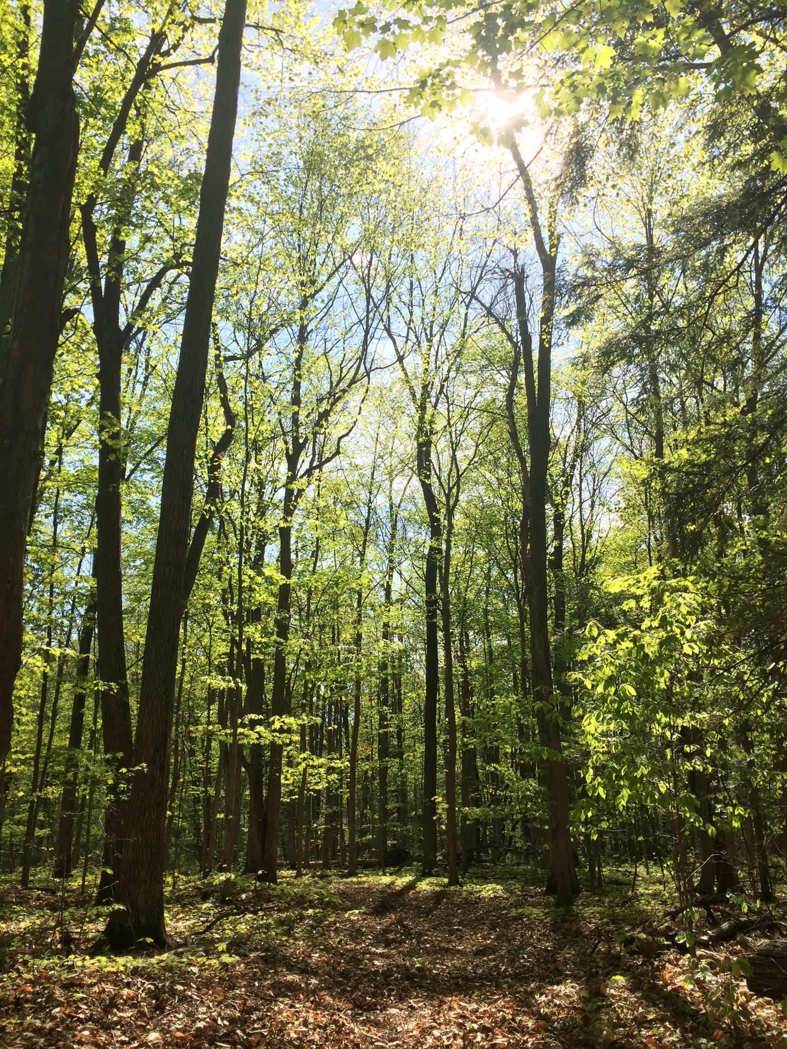 Tilden Hill Farm Hipcamp in Vernon, New York
