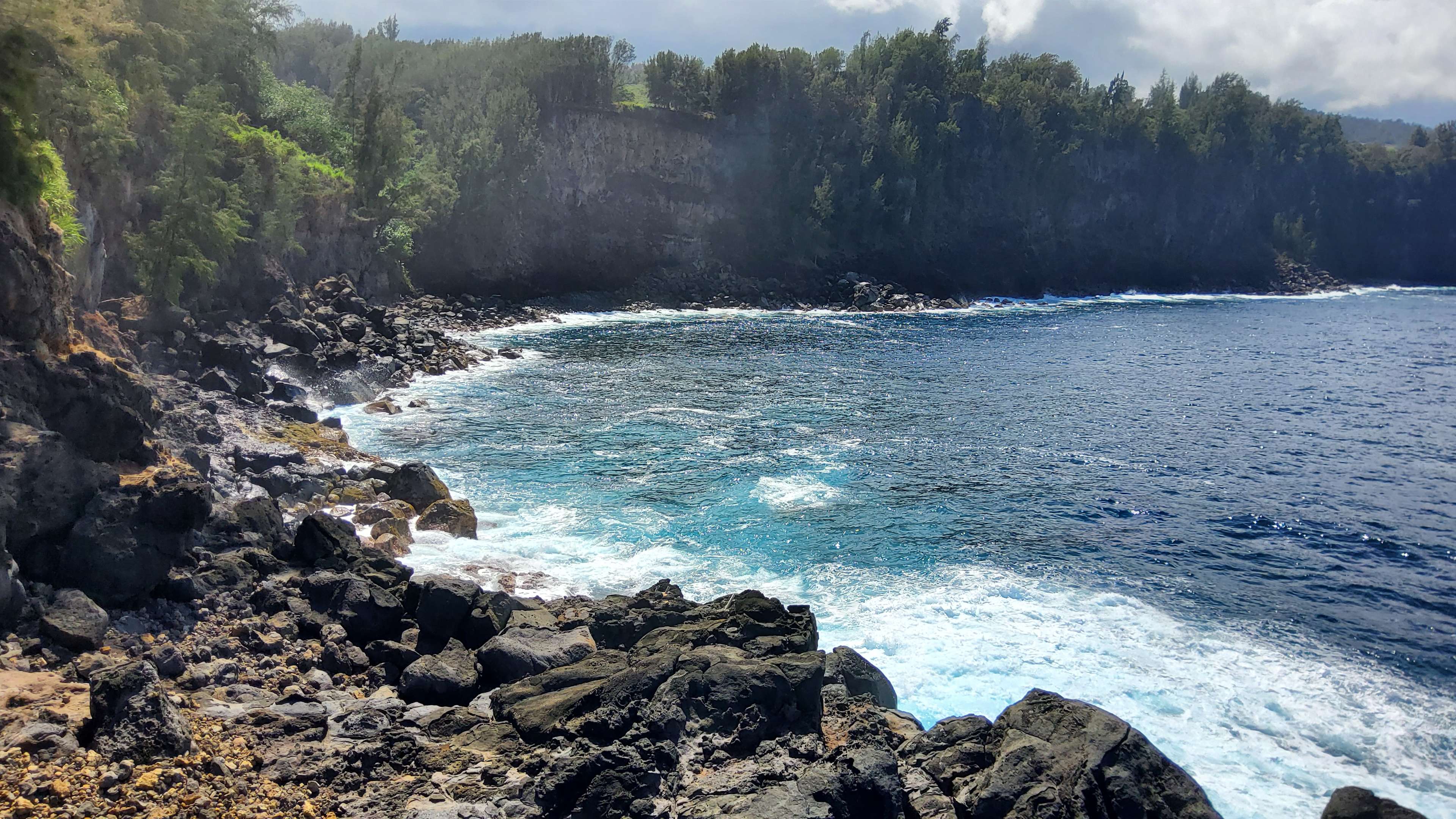 BEACH FARMS OCEAN PARK - Hipcamp in Honokaa, Hawaii