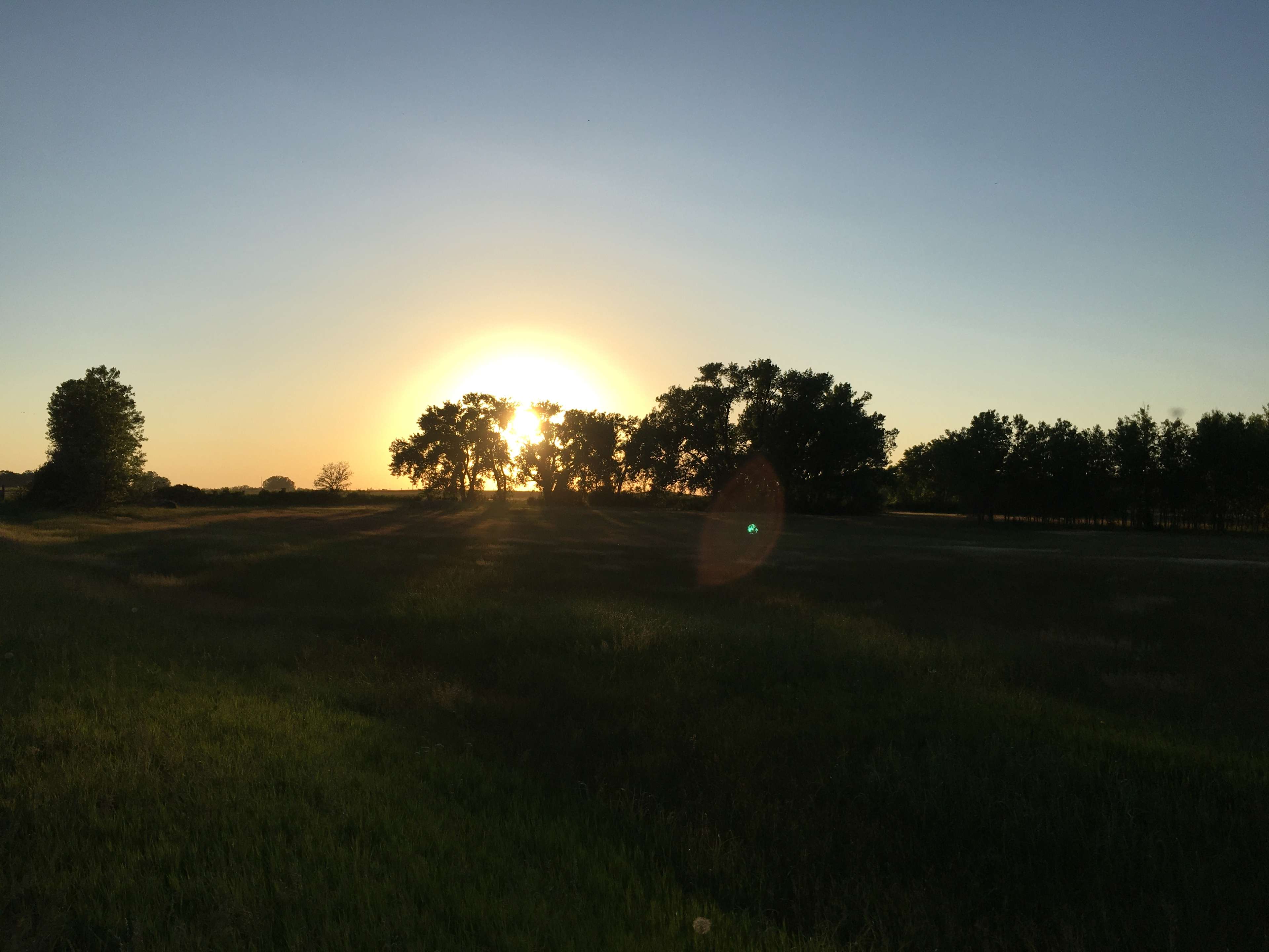 Steinke Ranch Buffalo Hipcamp in Colome, South Dakota