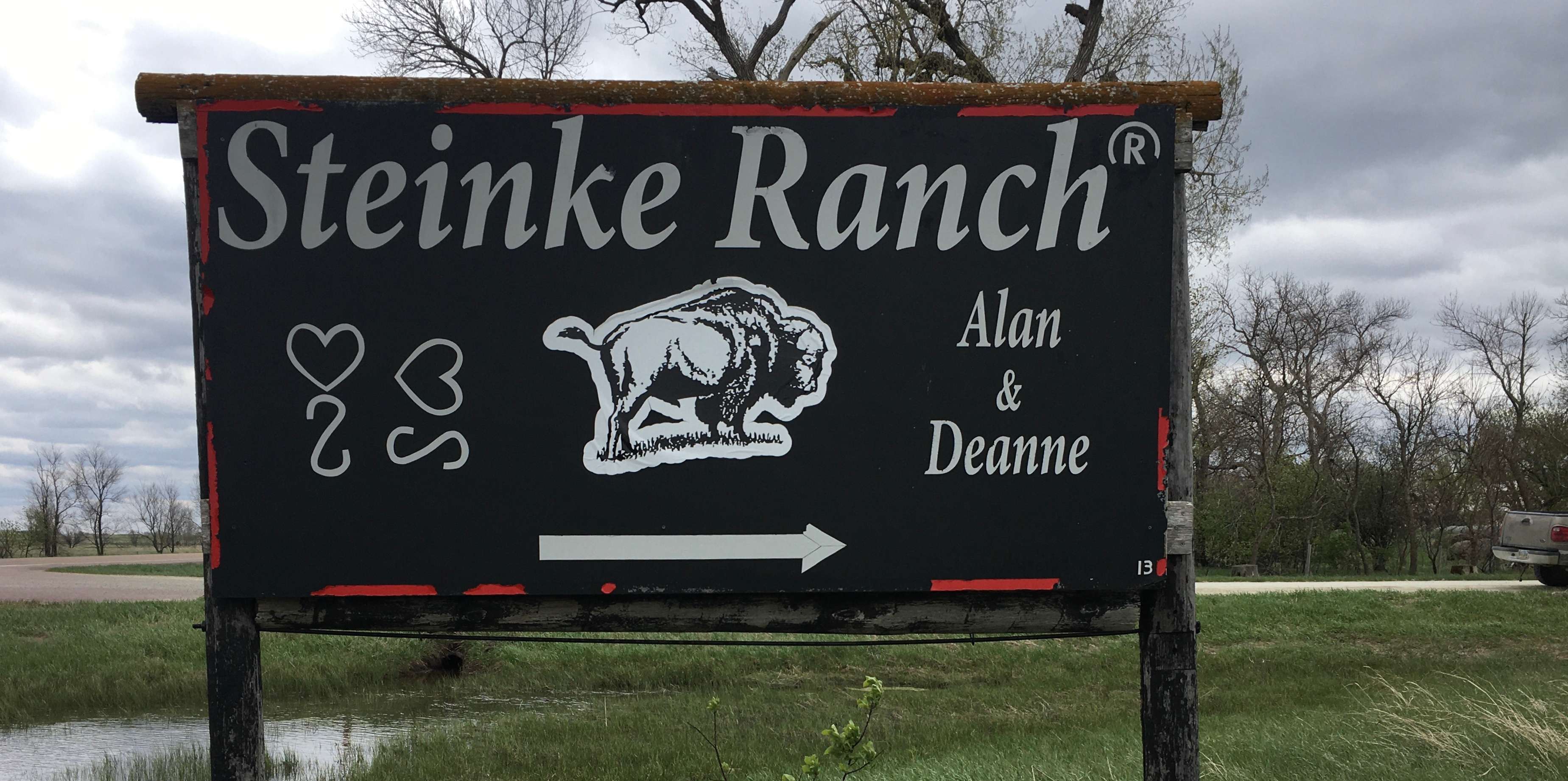 Steinke Ranch Buffalo Hipcamp in Colome, South Dakota
