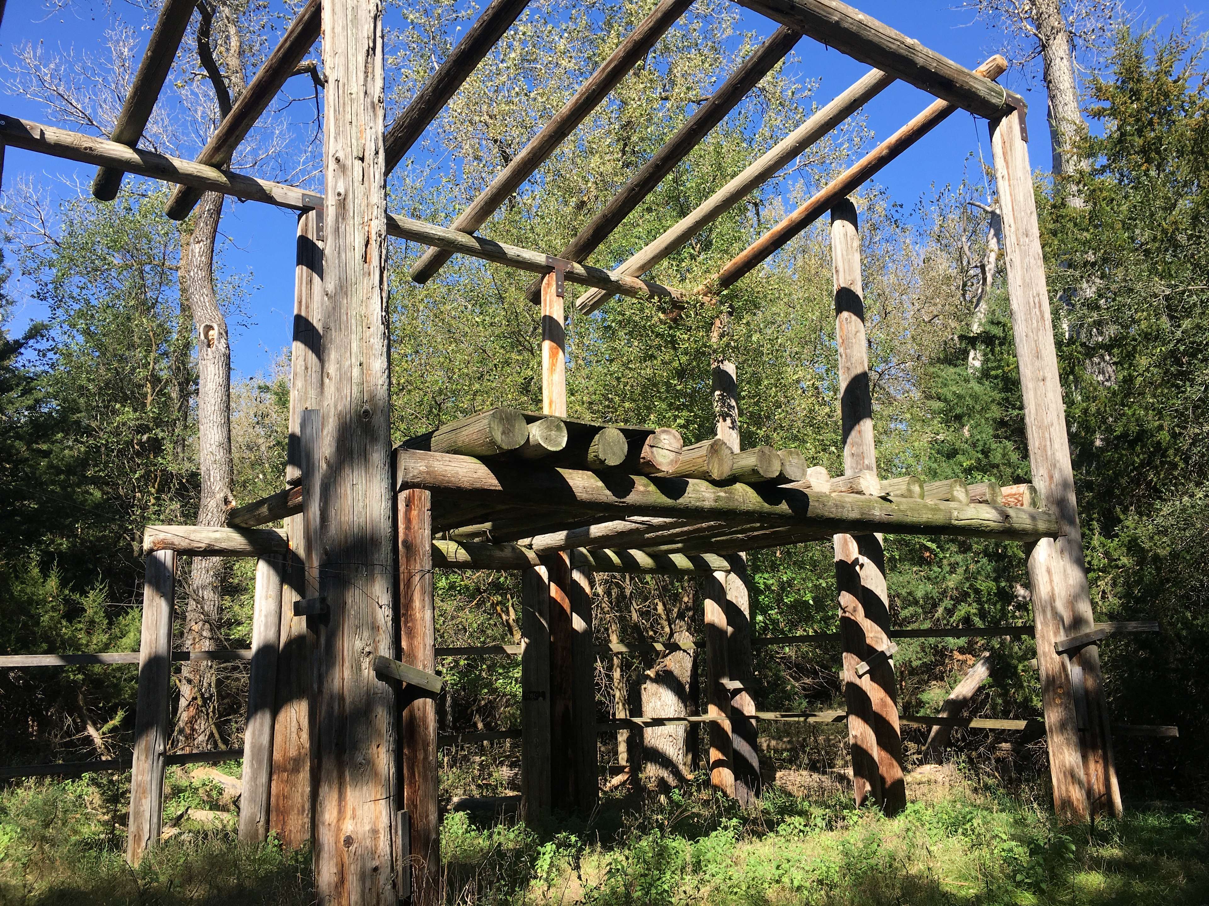 Steinke Ranch Buffalo Hipcamp in Colome, South Dakota