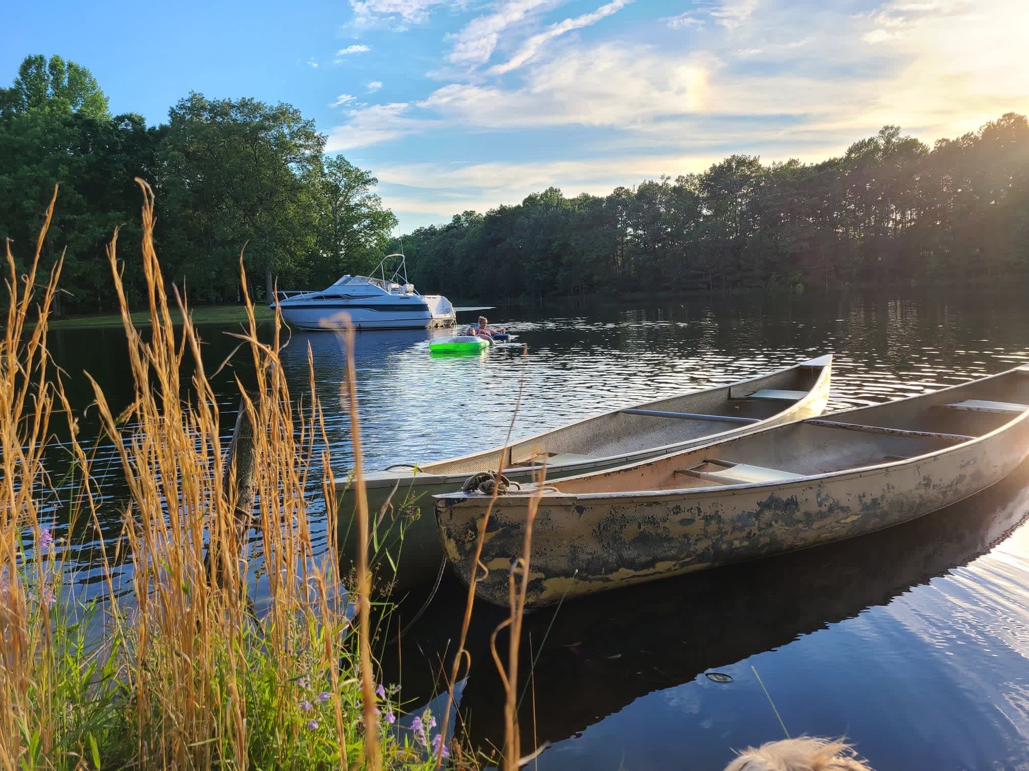 Chigger Creek Camping Hipcamp in Dinwiddie, Virginia